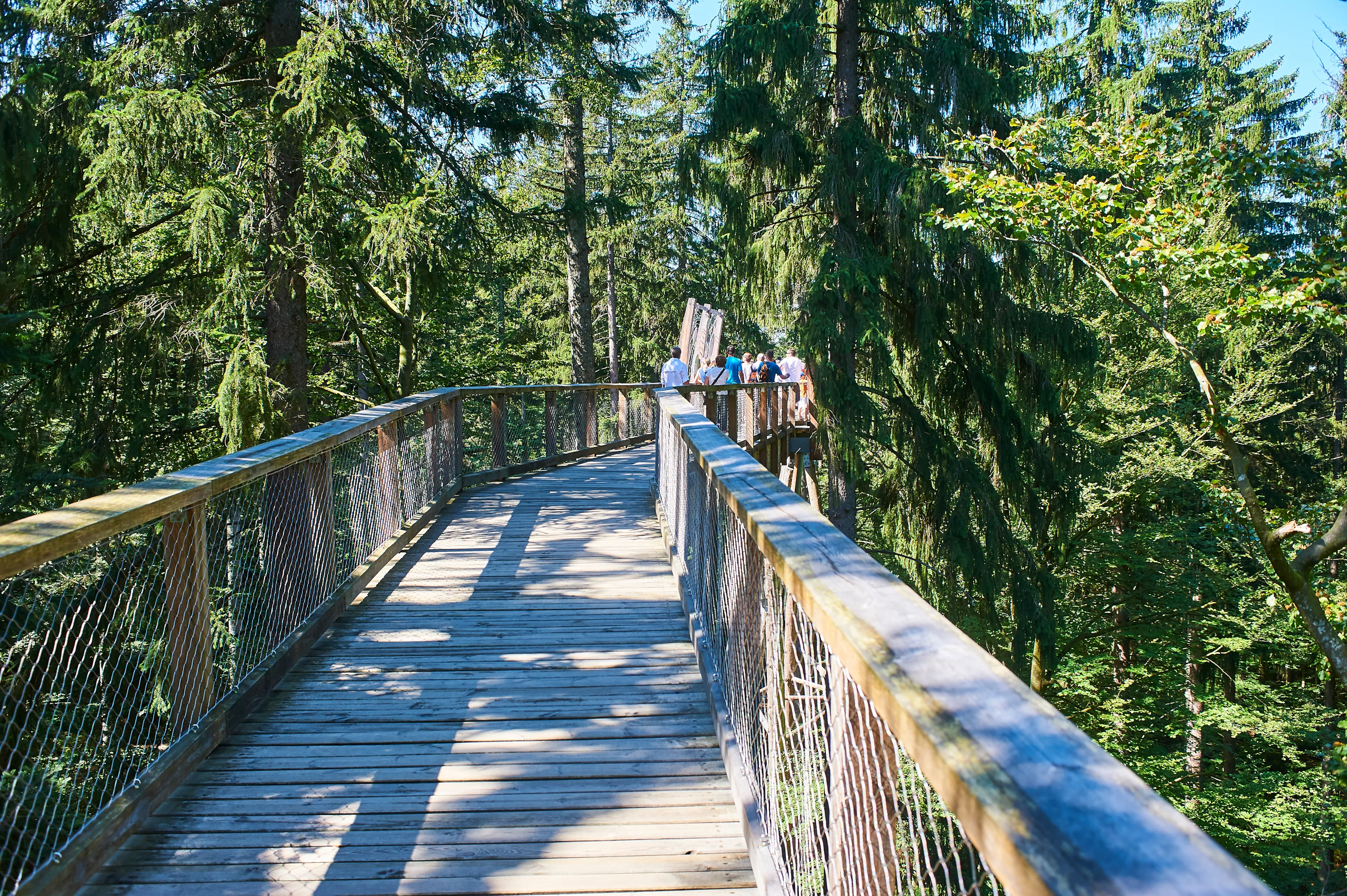 Best Neuschönau hotels. Cheap hotels in Neuschönau, Germany