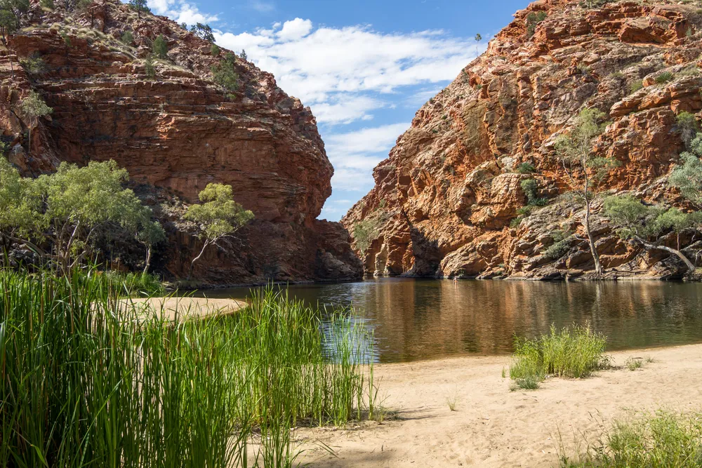 The oasis at Alice Springs , Australia