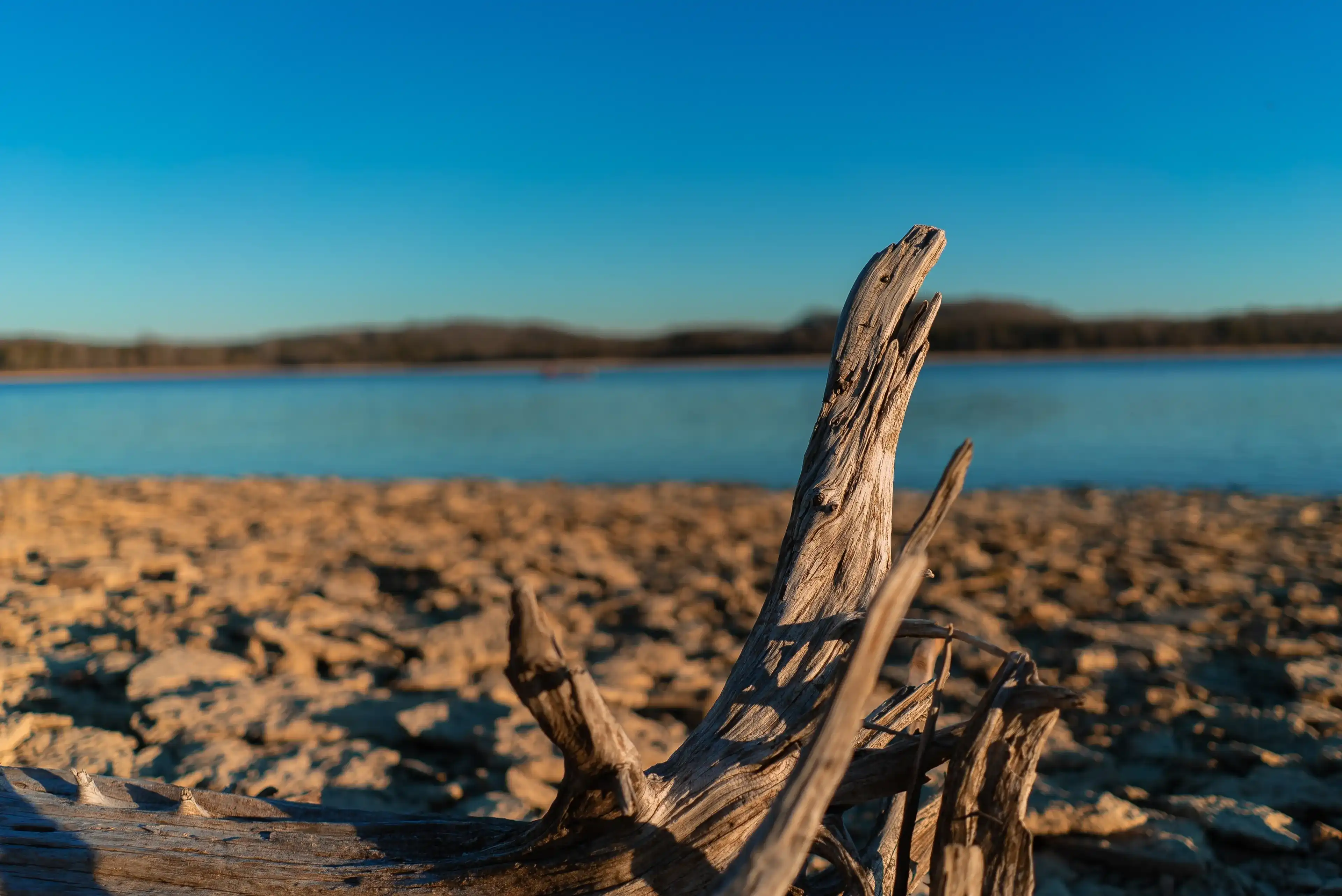 Best Mount Juliet hotels. Cheap hotels in Mount Juliet, Tennessee, United States Best Mount Juliet hotels. Cheap hotels in Mount Juliet, Tennessee, United States