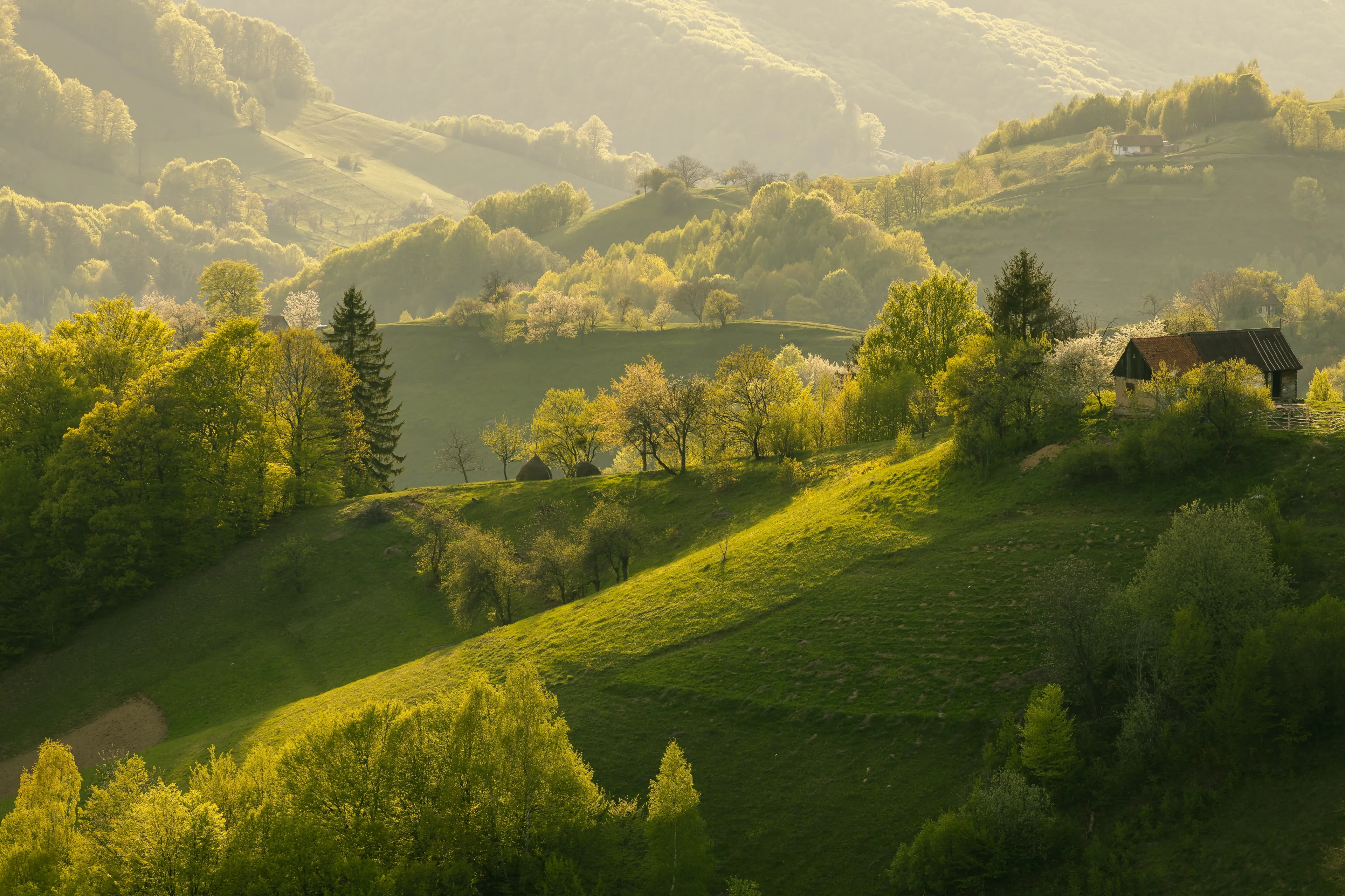 Best Poiana Mărului hotels. Cheap hotels in Poiana Mărului, România