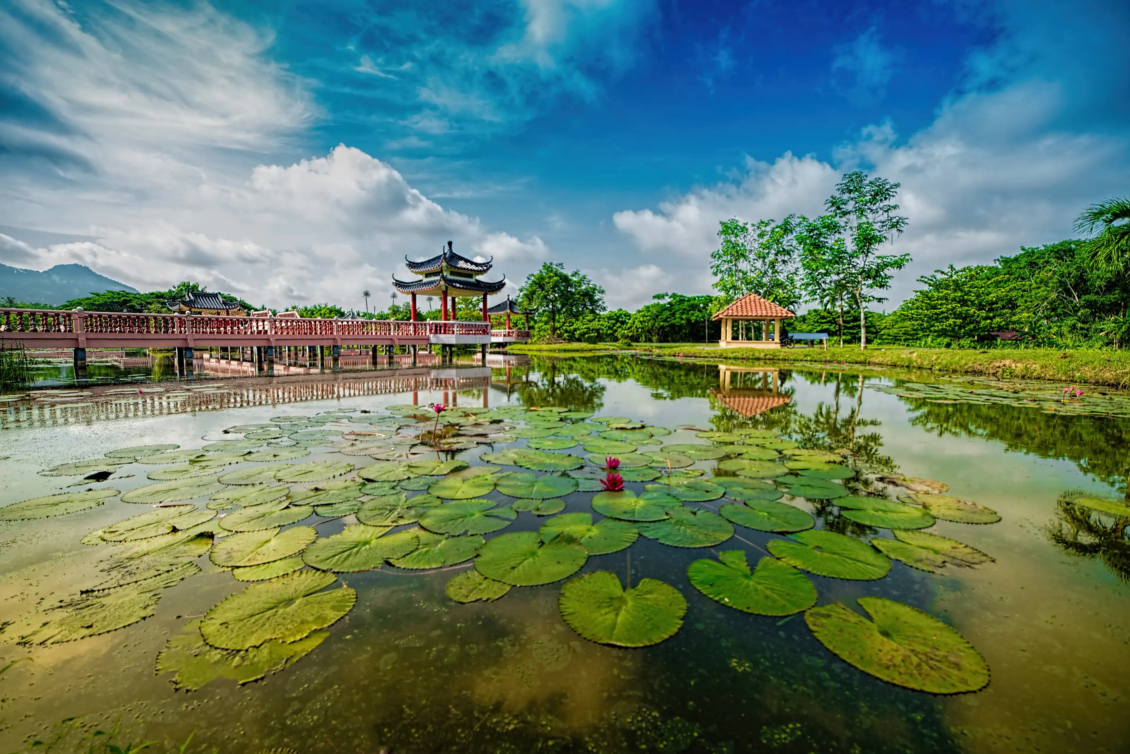Tasik Melati or Taman Melati - one of the famous lake park in Perlis Malaysia 30 minute by road from Kangar. Tasik Melati or Taman Melati - one of the famous lake park in Perlis Malaysia 30 minute by road from Kangar.