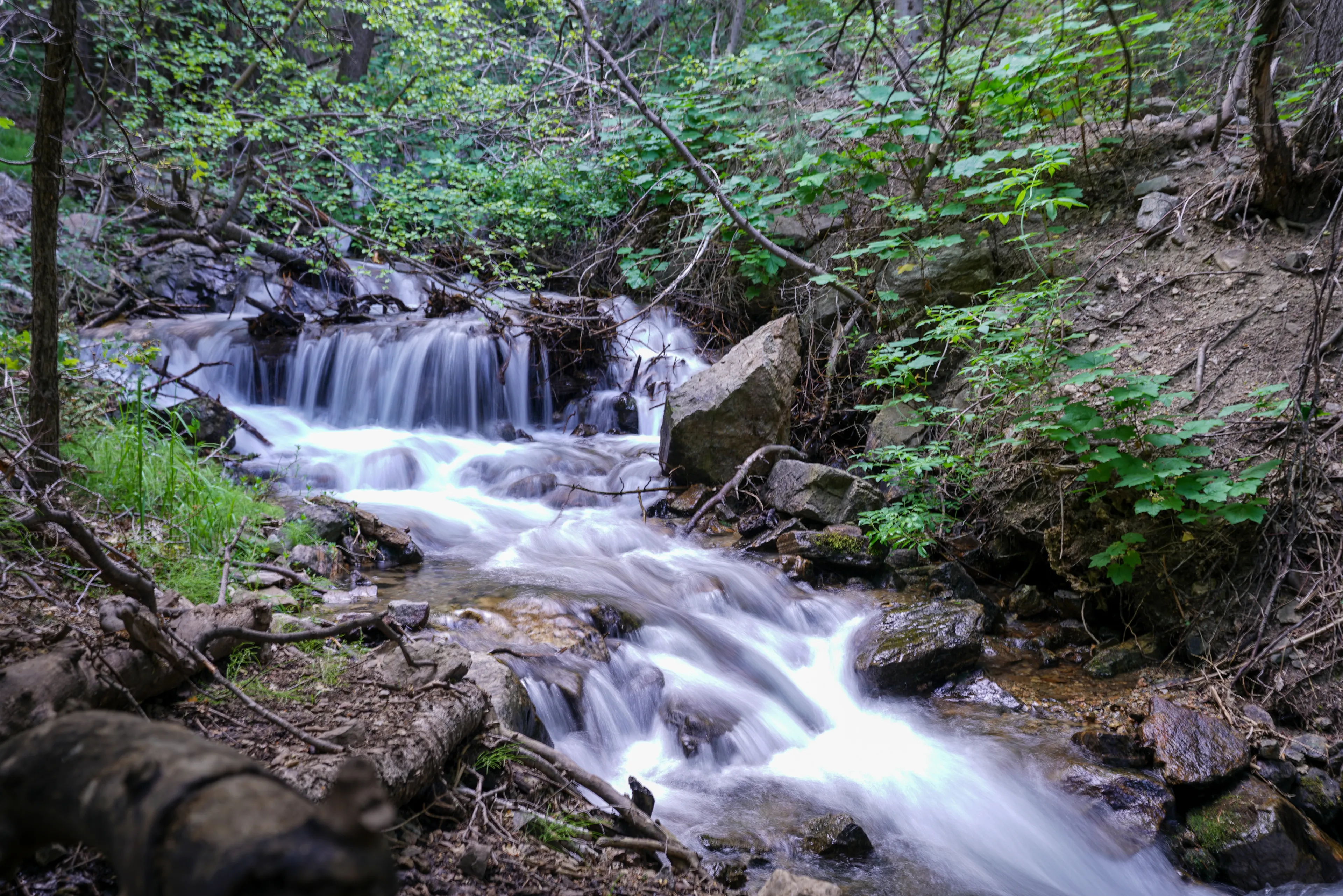 Best Layton hotels. Cheap hotels in Layton, Utah, United States