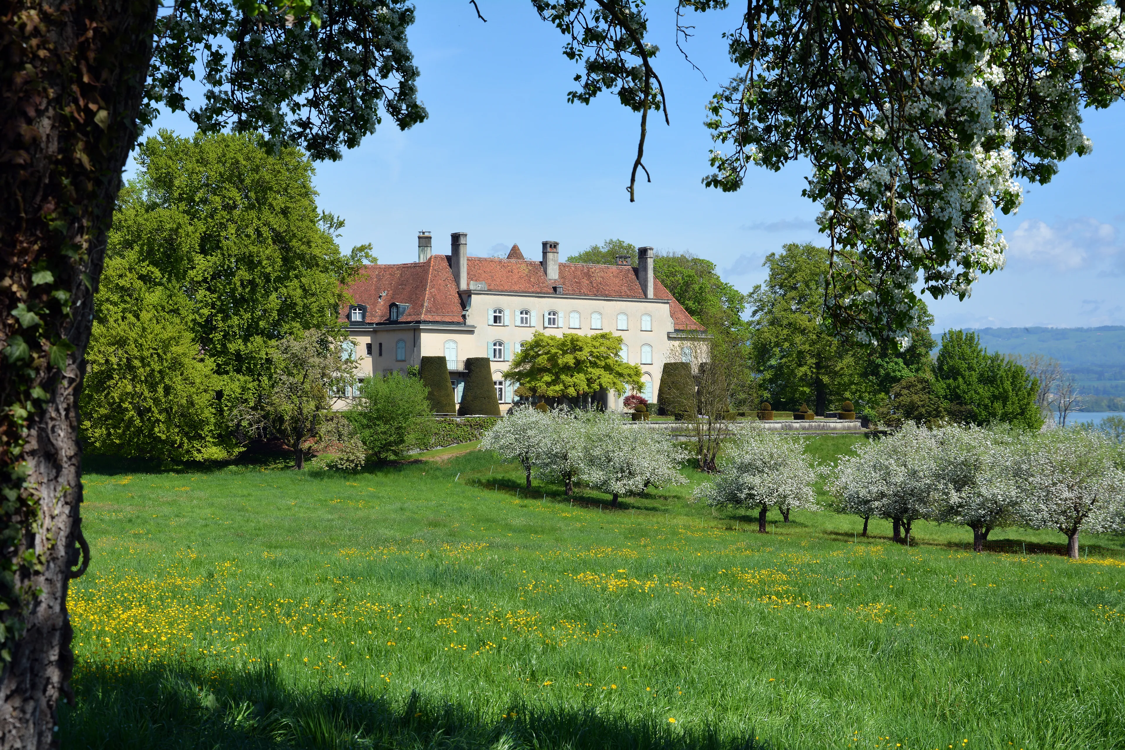 Best Rotkreuz hotels. Cheap hotels in Rotkreuz, Switzerland