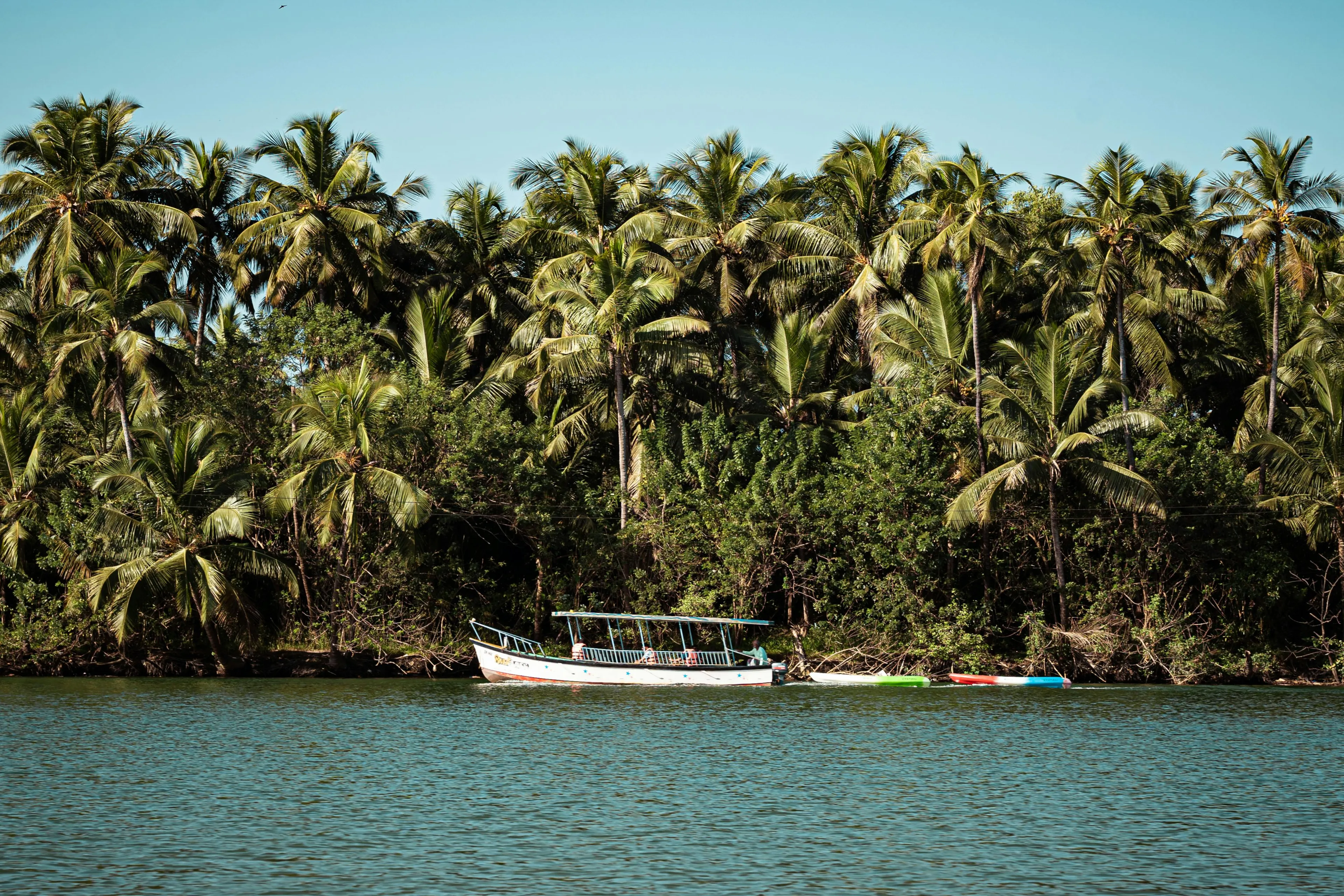 Serene Boat Ride through Udupi's Tropical Backwaters