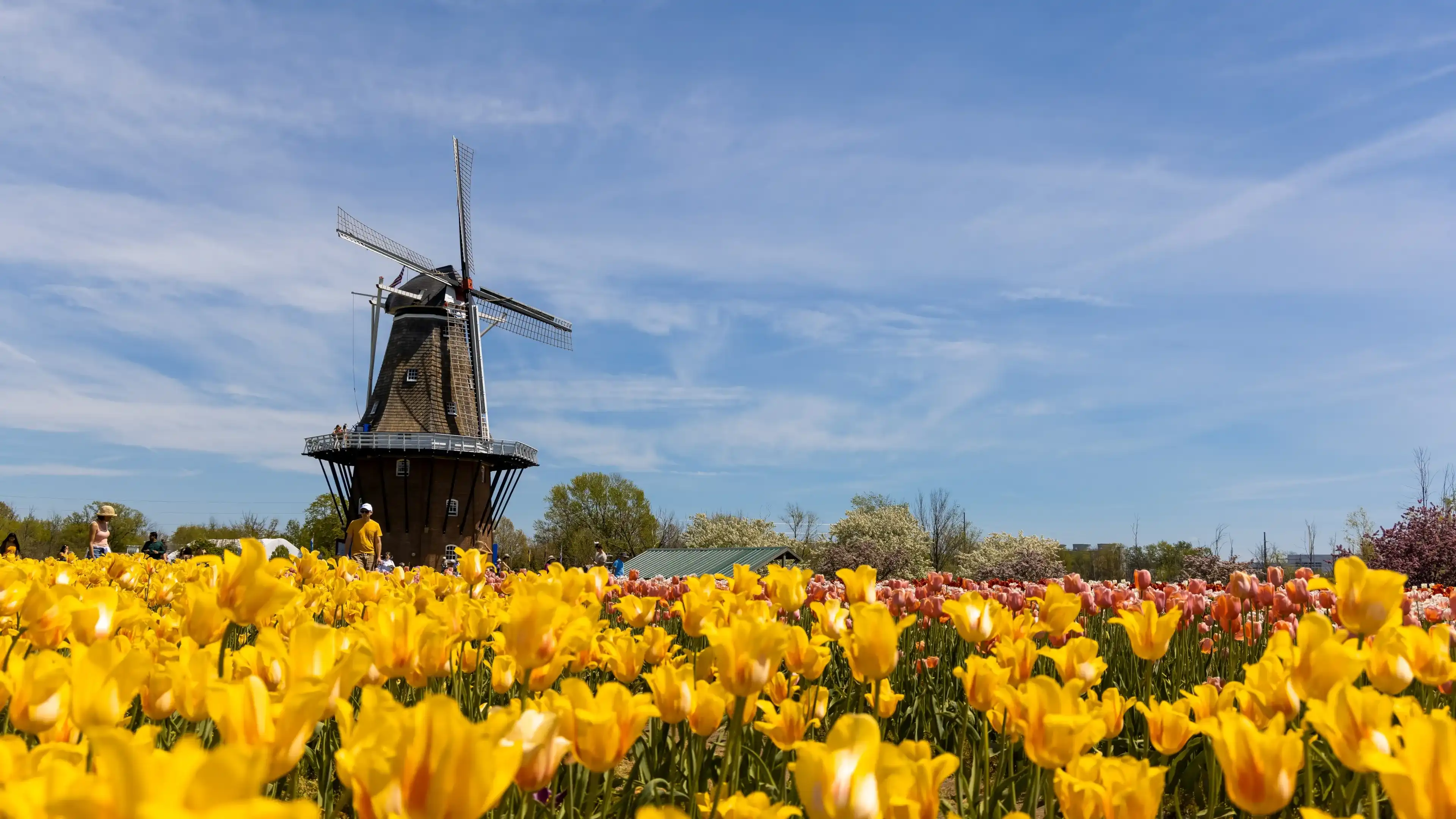 Best Holland hotels. Cheap hotels in Holland, Michigan, United States Best Holland hotels. Cheap hotels in Holland, Michigan, United States