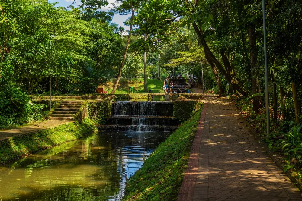 GOIANIA GOIAS BRAZIL - MARCH 04 2023: Water course with lots of vegetation and trees in Bosque dos Buritis in Goiânia.