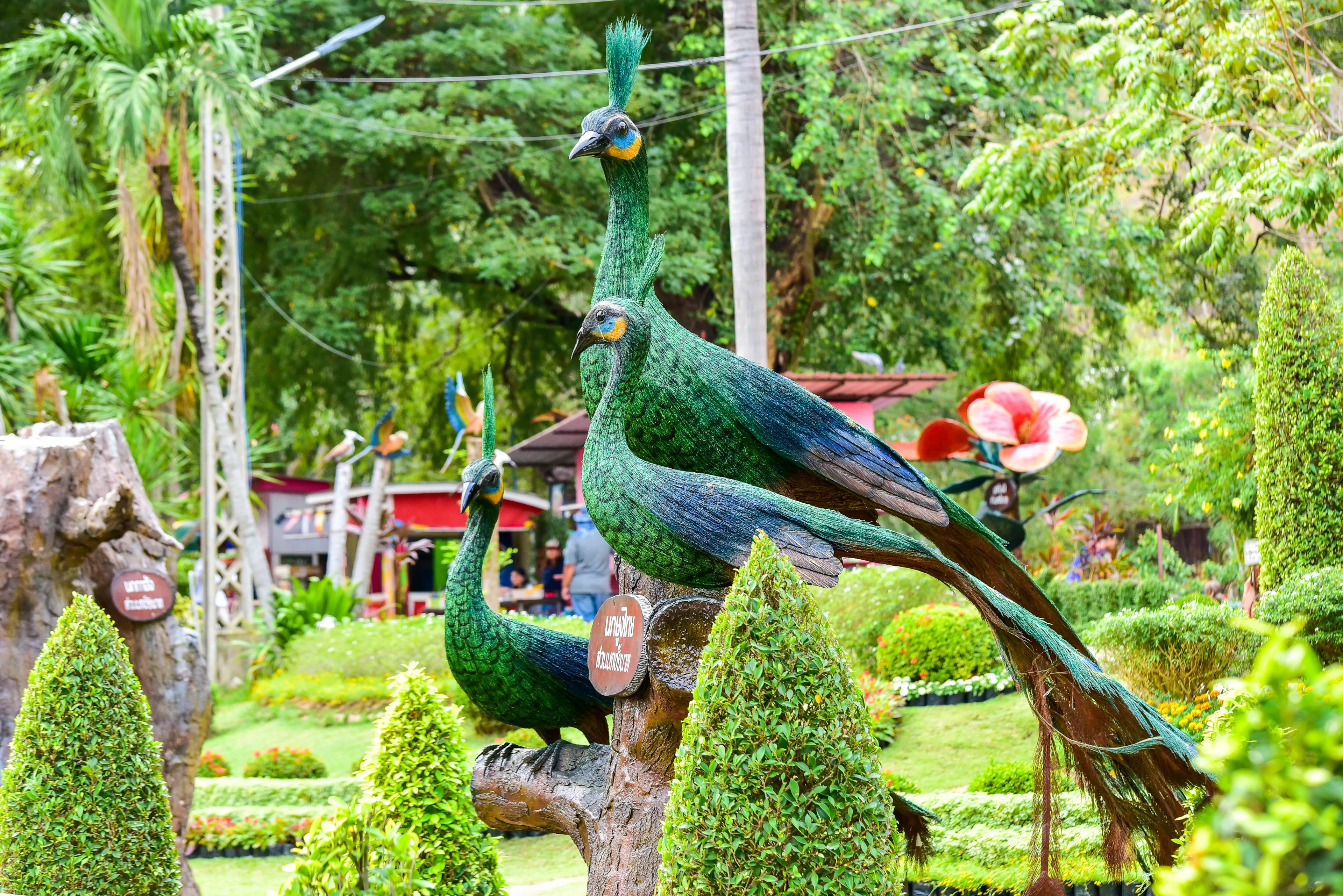 Chai nat Thailand December 26 2019 see birds at Chai NAT Bird Park is a place of chainat province. Bird cage is the biggest in Asia, covering an area of 26 hectares and contains various species birds.