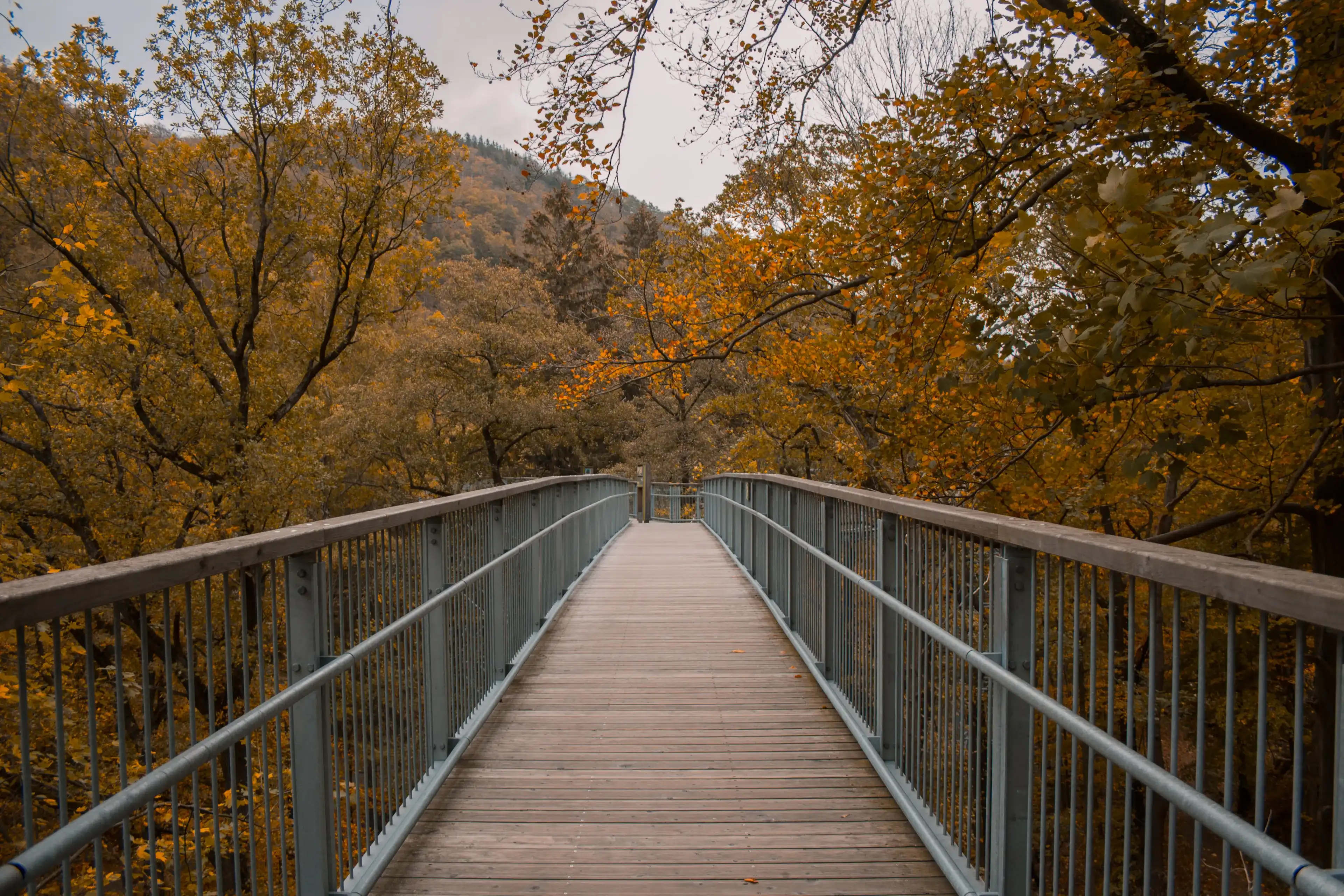 Best Bad Harzburg hotels. Cheap hotels in Bad Harzburg, Germany Best Bad Harzburg hotels. Cheap hotels in Bad Harzburg, Germany