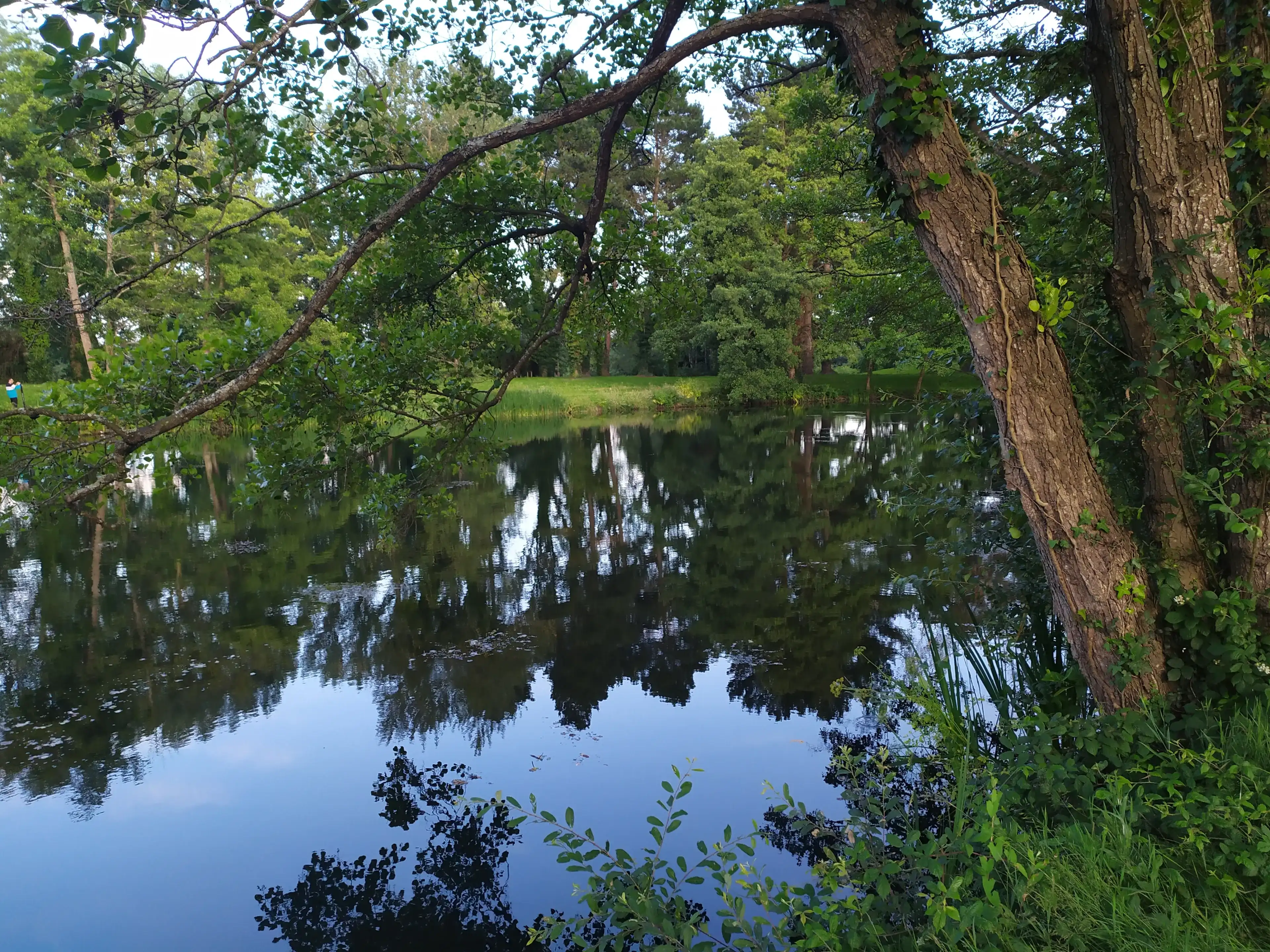 beautiful nature from a French parc in Cesson Sévigné beautiful nature from a French parc in Cesson Sévigné