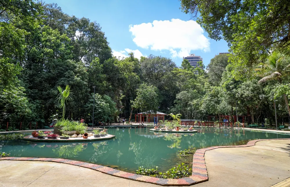 Botanical garden of Anápolis Goiás. Nature with trees and native vegetation surrounded by a lake. 21 de janeiro de 2024. 