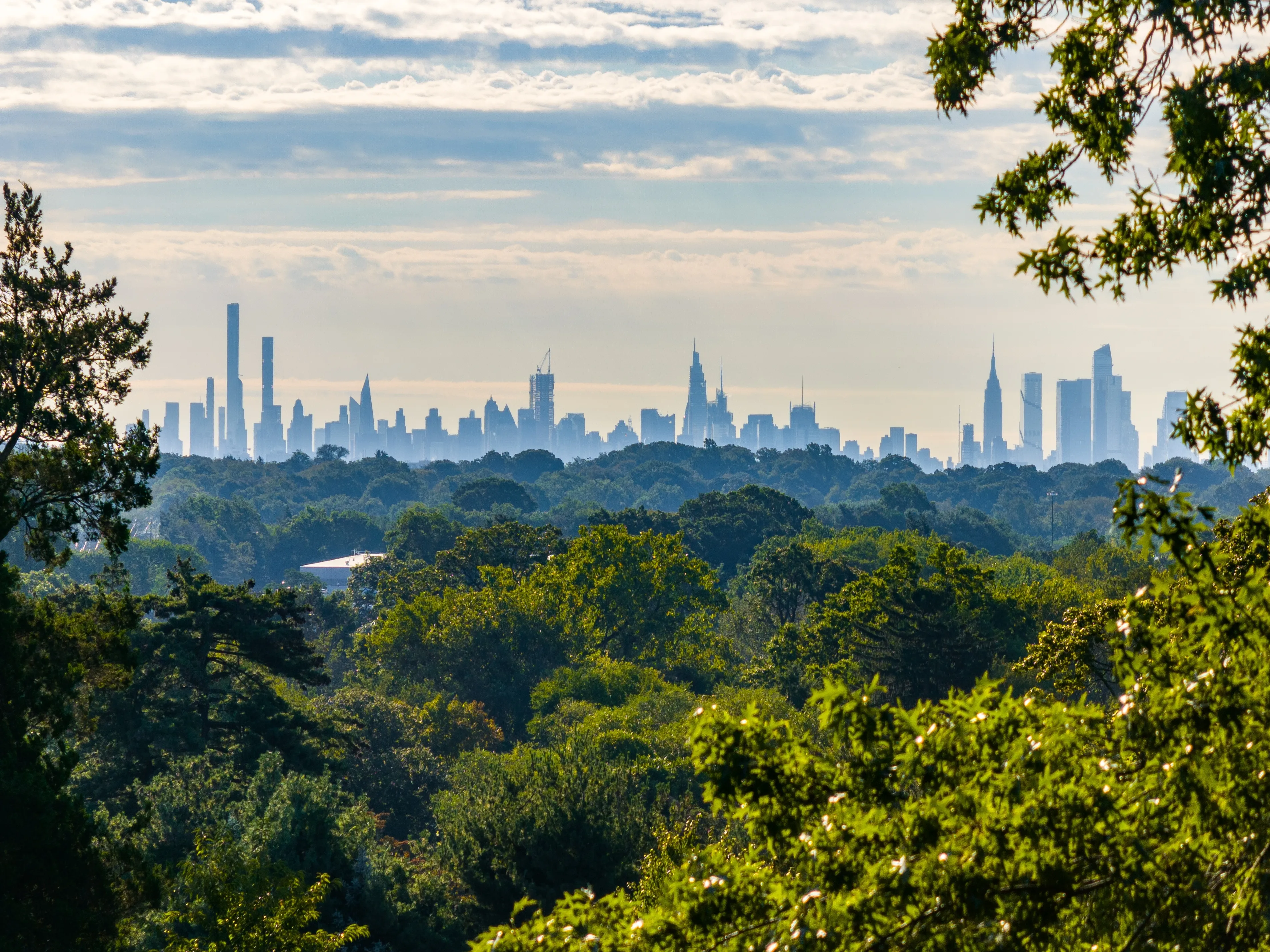 NYC Skyline from an Urban Park