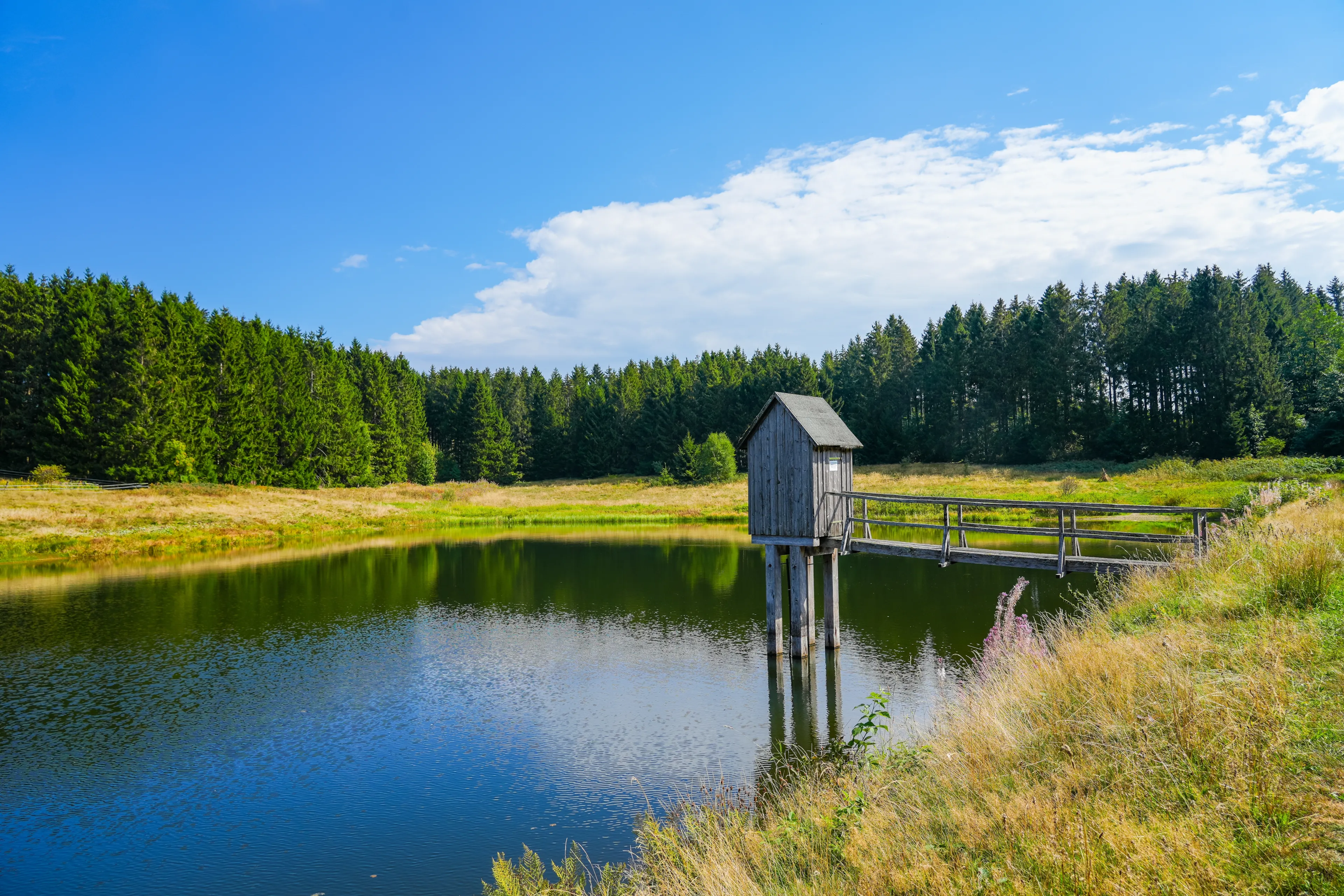 Best Clausthal-Zellerfeld hotels. Cheap hotels in Clausthal-Zellerfeld, Germany