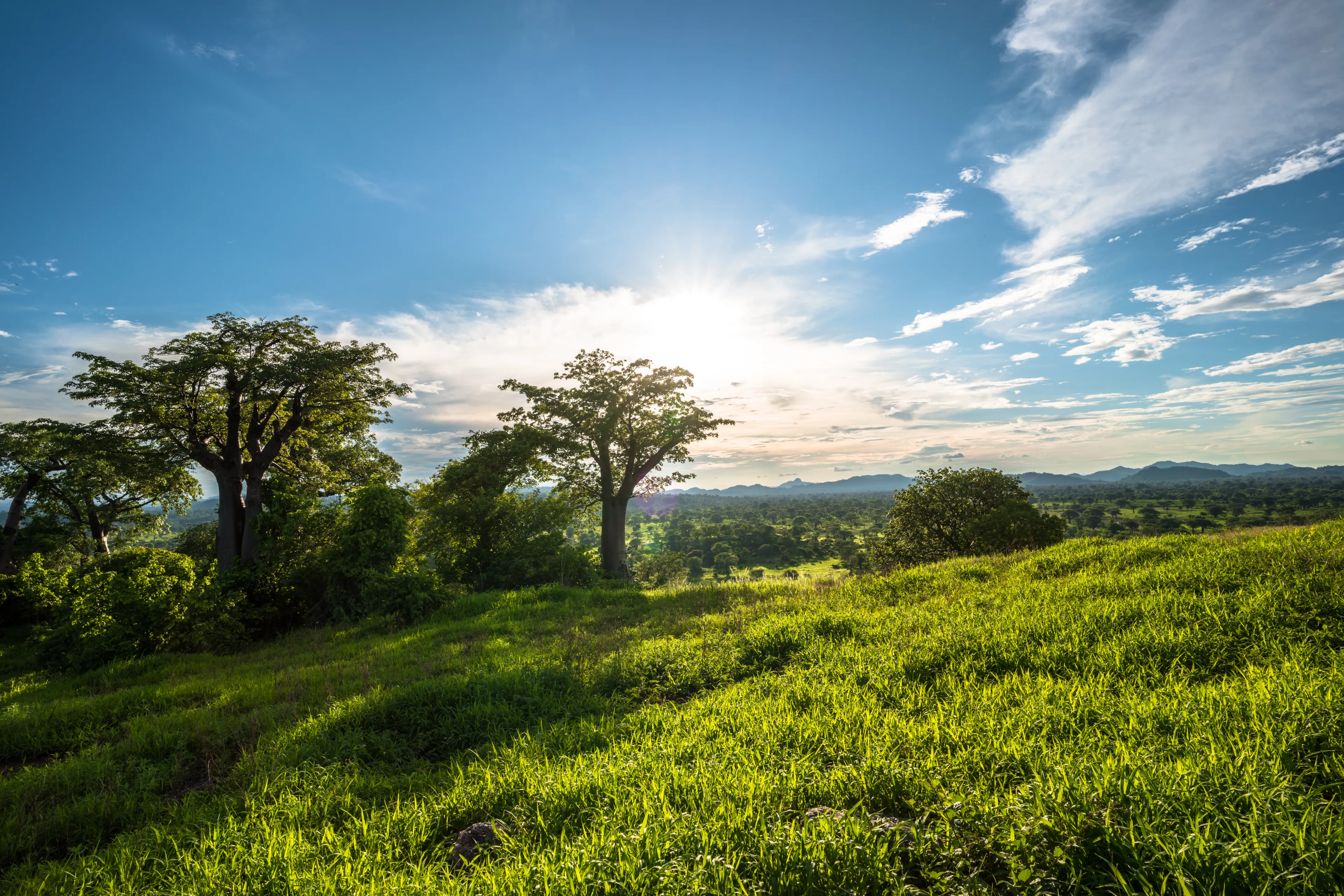 Late afternoon on a hill overlooking Lake Malawi.