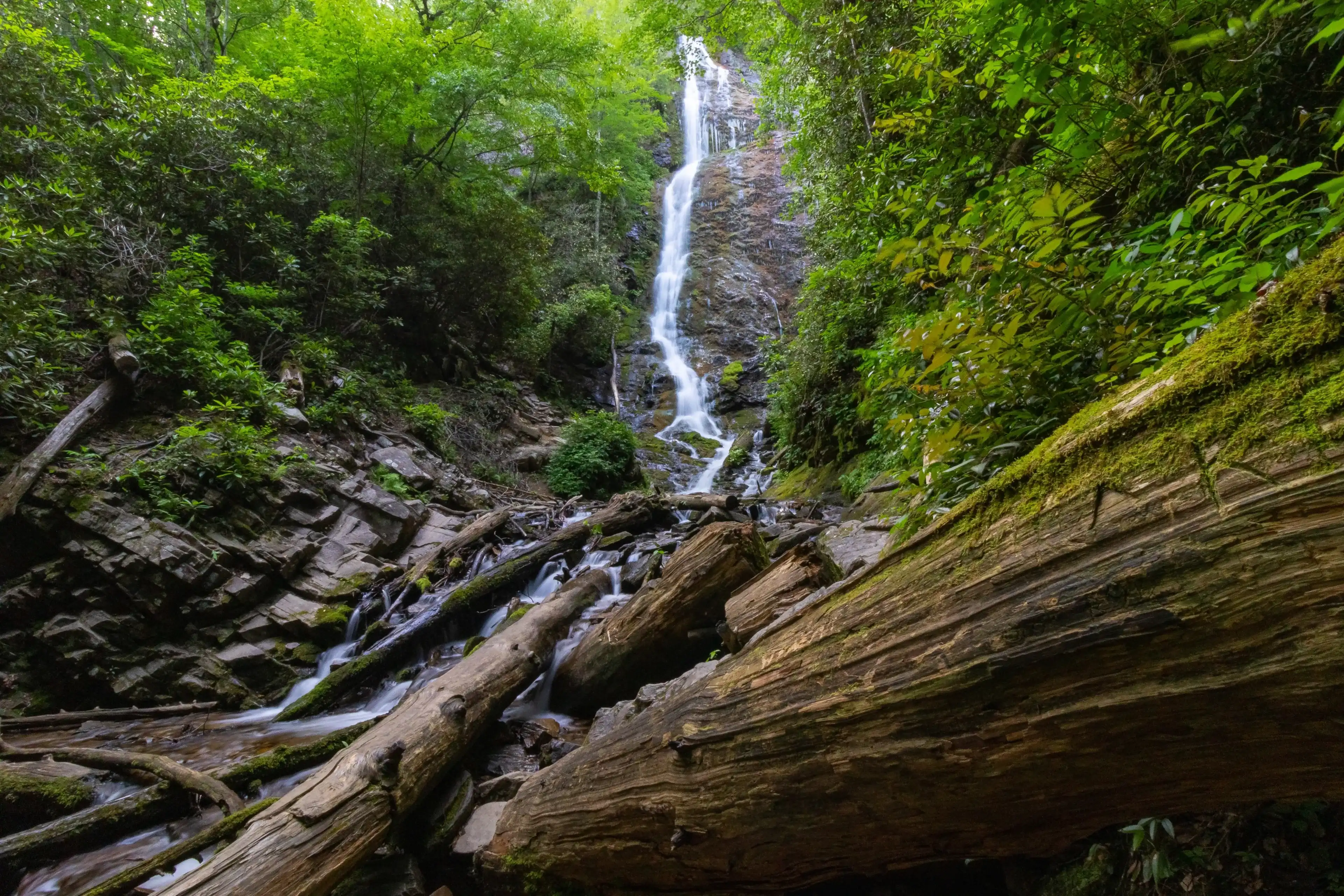 Best Cherokee hotels. Cheap hotels in Cherokee, North Carolina, United States Best Cherokee hotels. Cheap hotels in Cherokee, North Carolina, United States