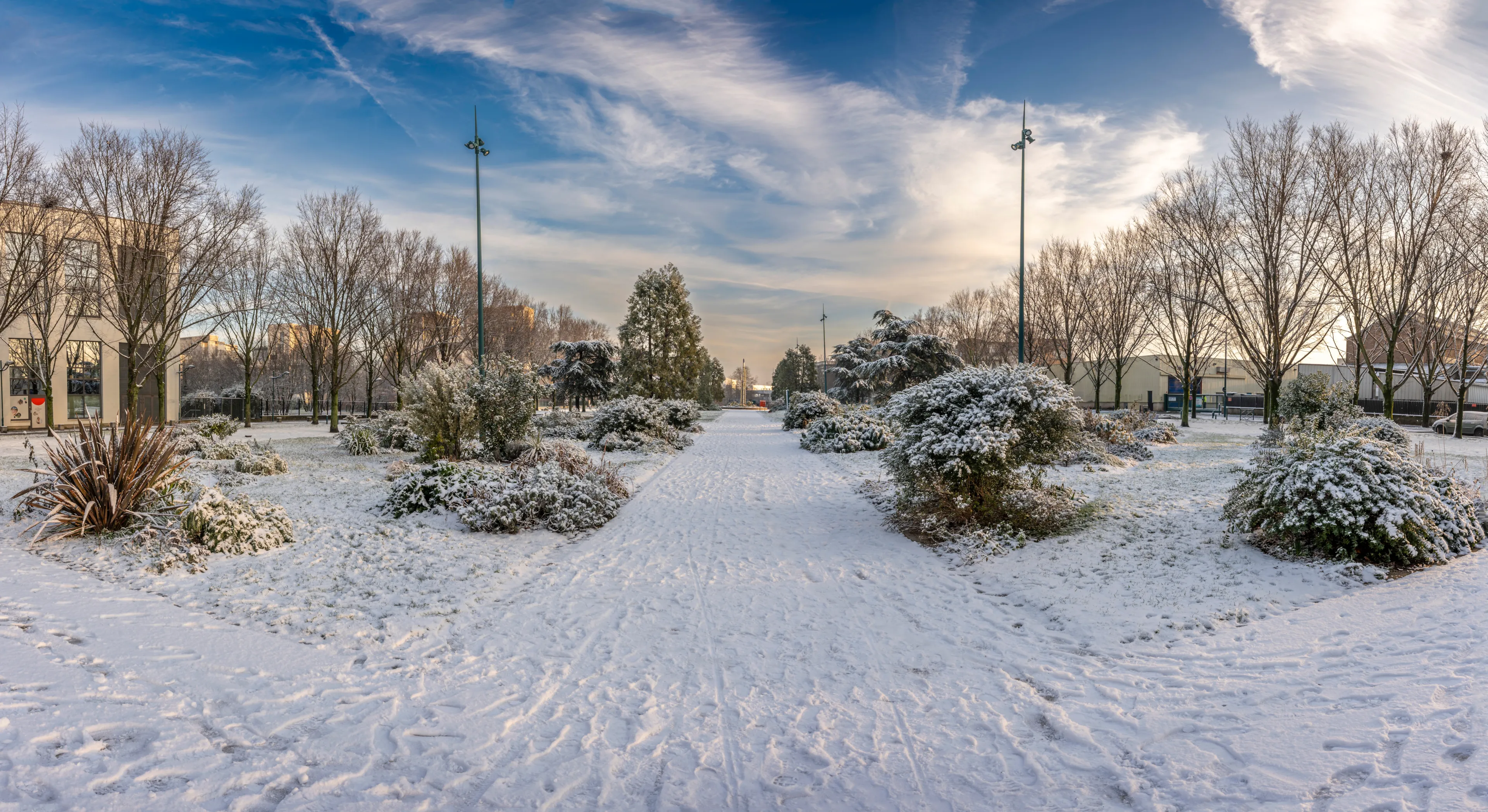 Gennevilliers, France - 12 18 2024: Eco-neighborhood. View of alignment of trees along a pathway under the snow 
