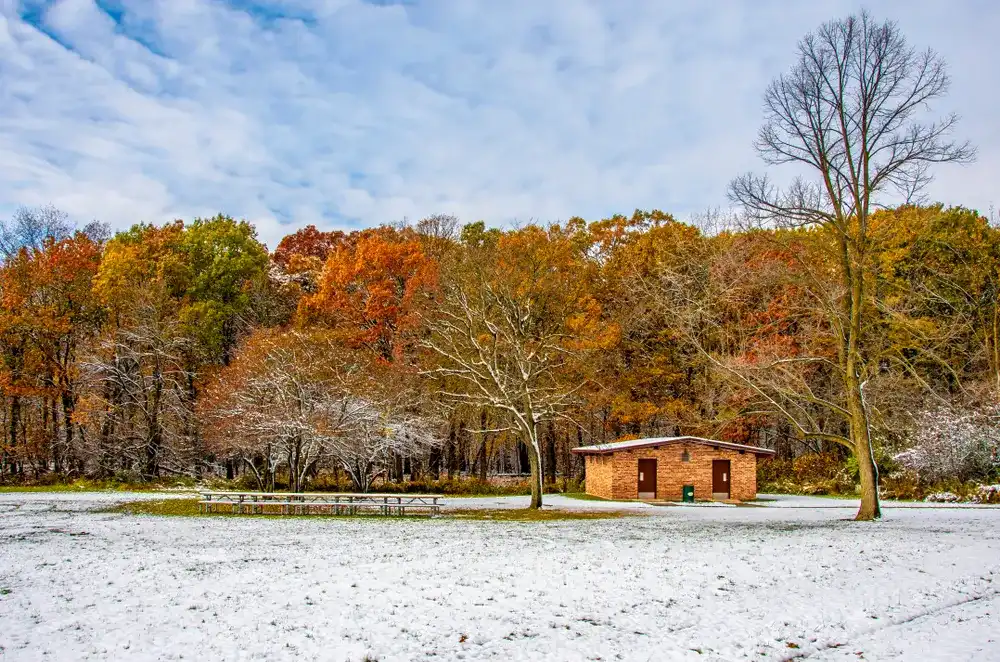Ned Brown Preserve (Busse Woods) view with snow and autumn colors in Arlington Heights Town of Illinois Ned Brown Preserve (Busse Woods) view with snow and autumn colors in Arlington Heights Town of Illinois