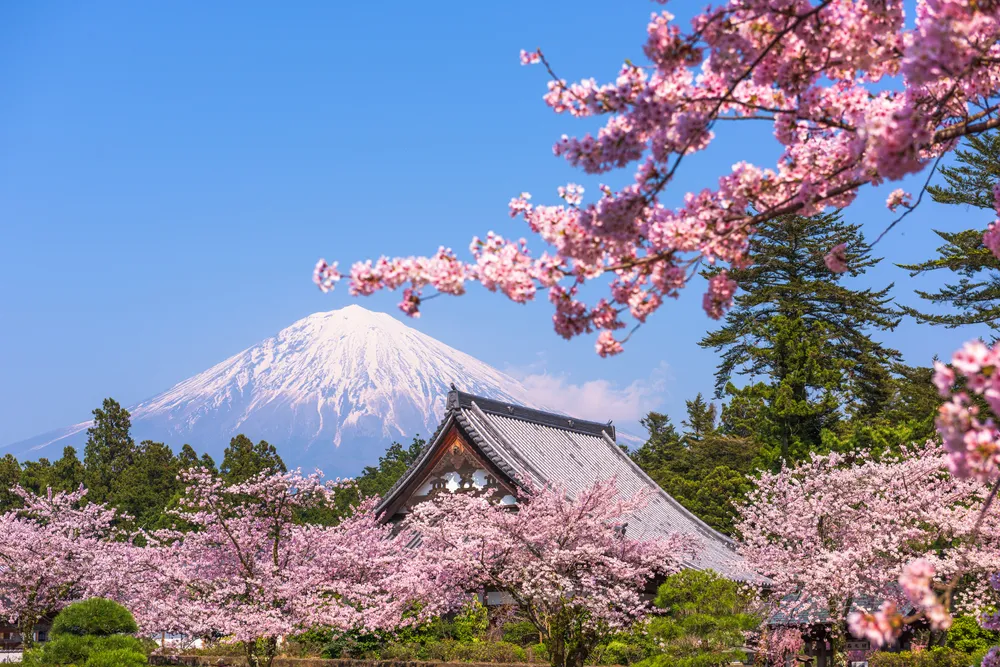 Fujinomiya, Shizuoka, Japan with Mt. Fuji in spring.