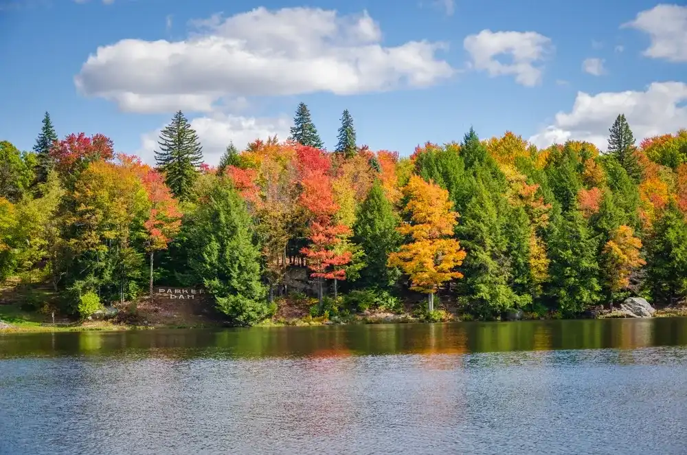 Fall at Parker Dam State Park in Huston Township, Clearfield County, Pennsylvania in the United States, Surrounded by Moshannon State Forest Fall at Parker Dam State Park in Huston Township, Clearfield County, Pennsylvania in the United States, Surrounded by Moshannon State Forest