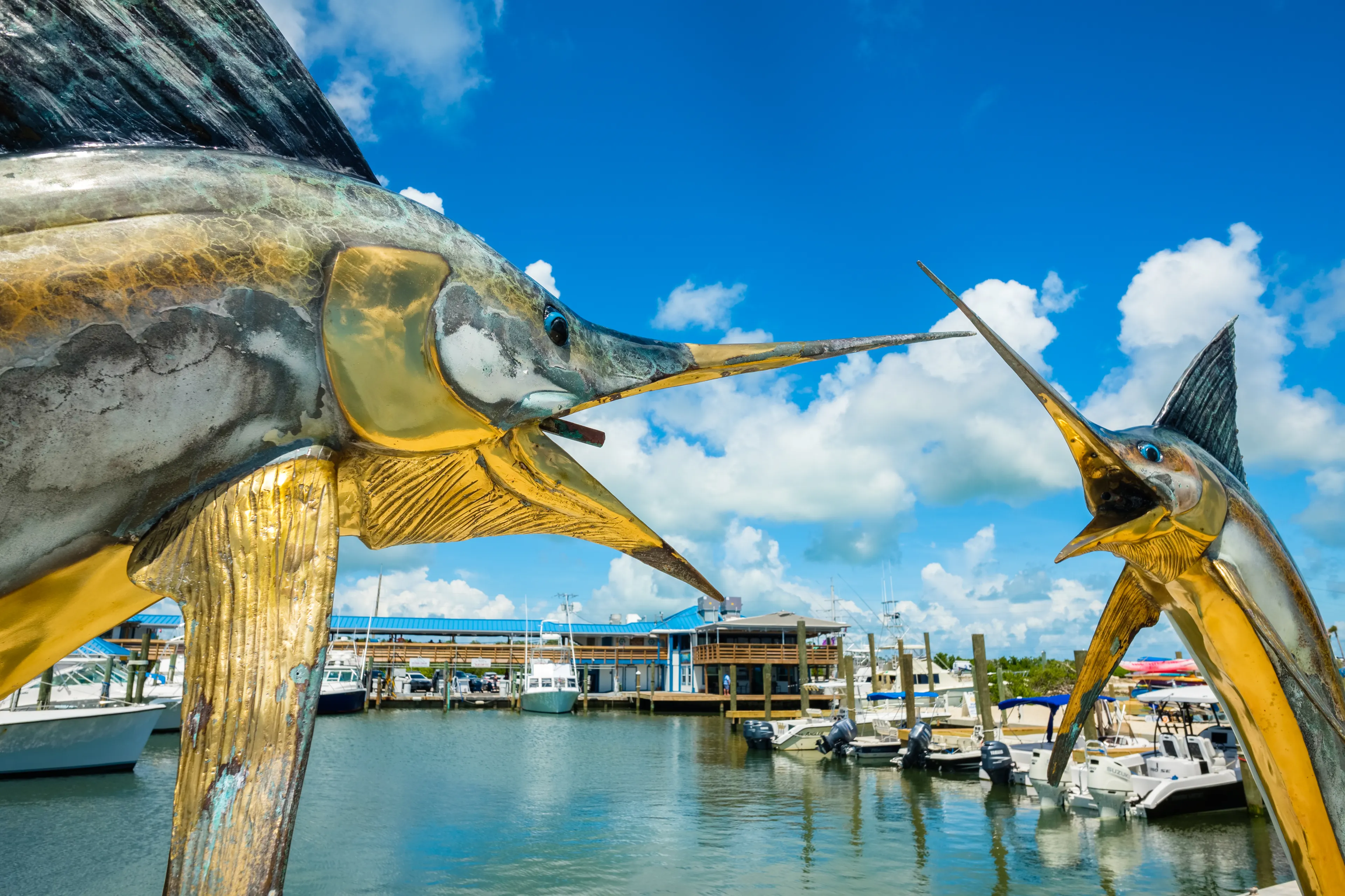 Best Islamorada hotels. Cheap hotels in Islamorada, Florida, United States