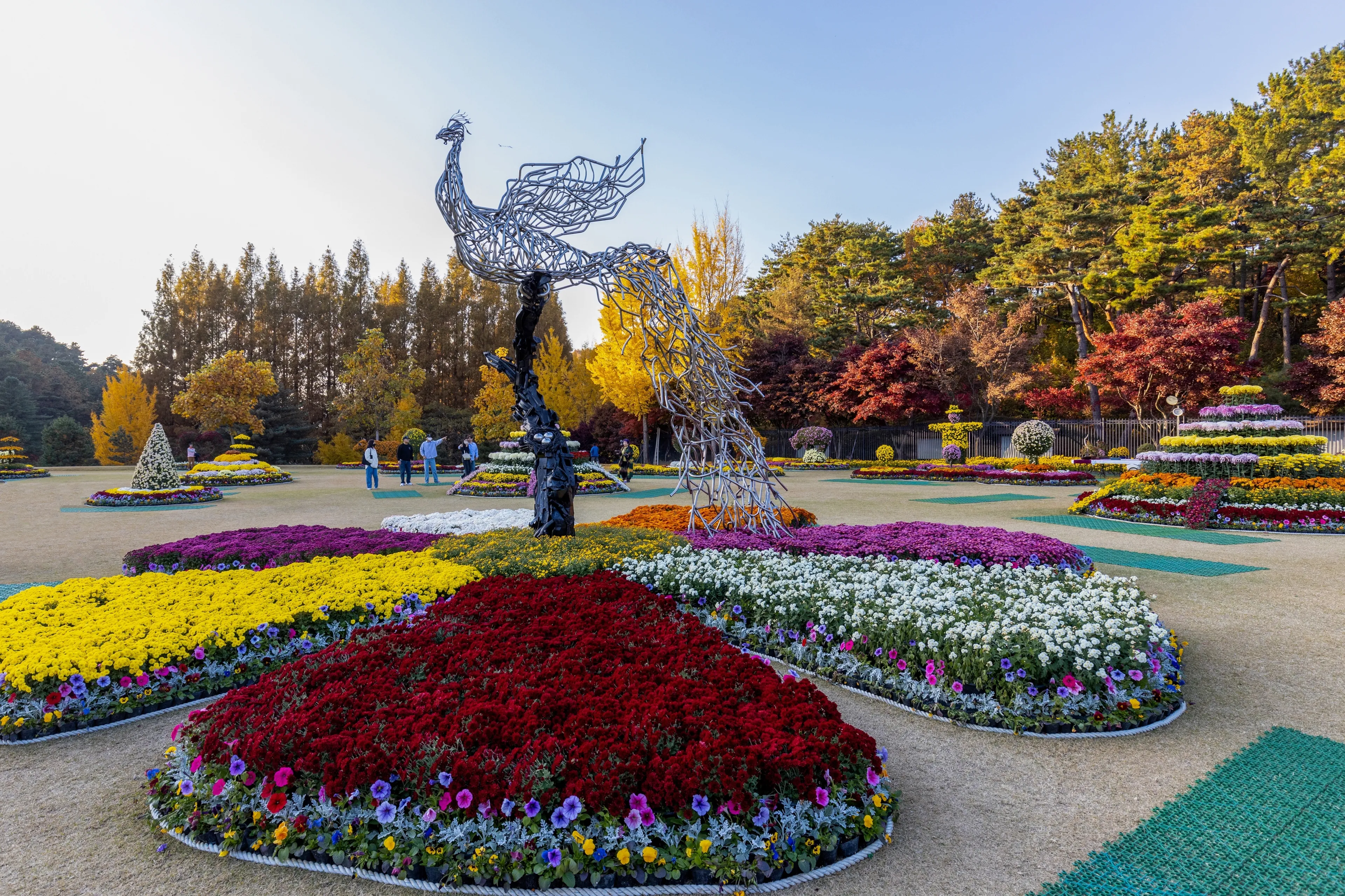 Sindae-ri, Cheongju-si, Chungcheongbuk-do, South Korea - November 2, 2022: Autumnal view of chrysanthemum flower with sculpture of phoenix against maple trees at Cheongnamdae Presidential Villa 