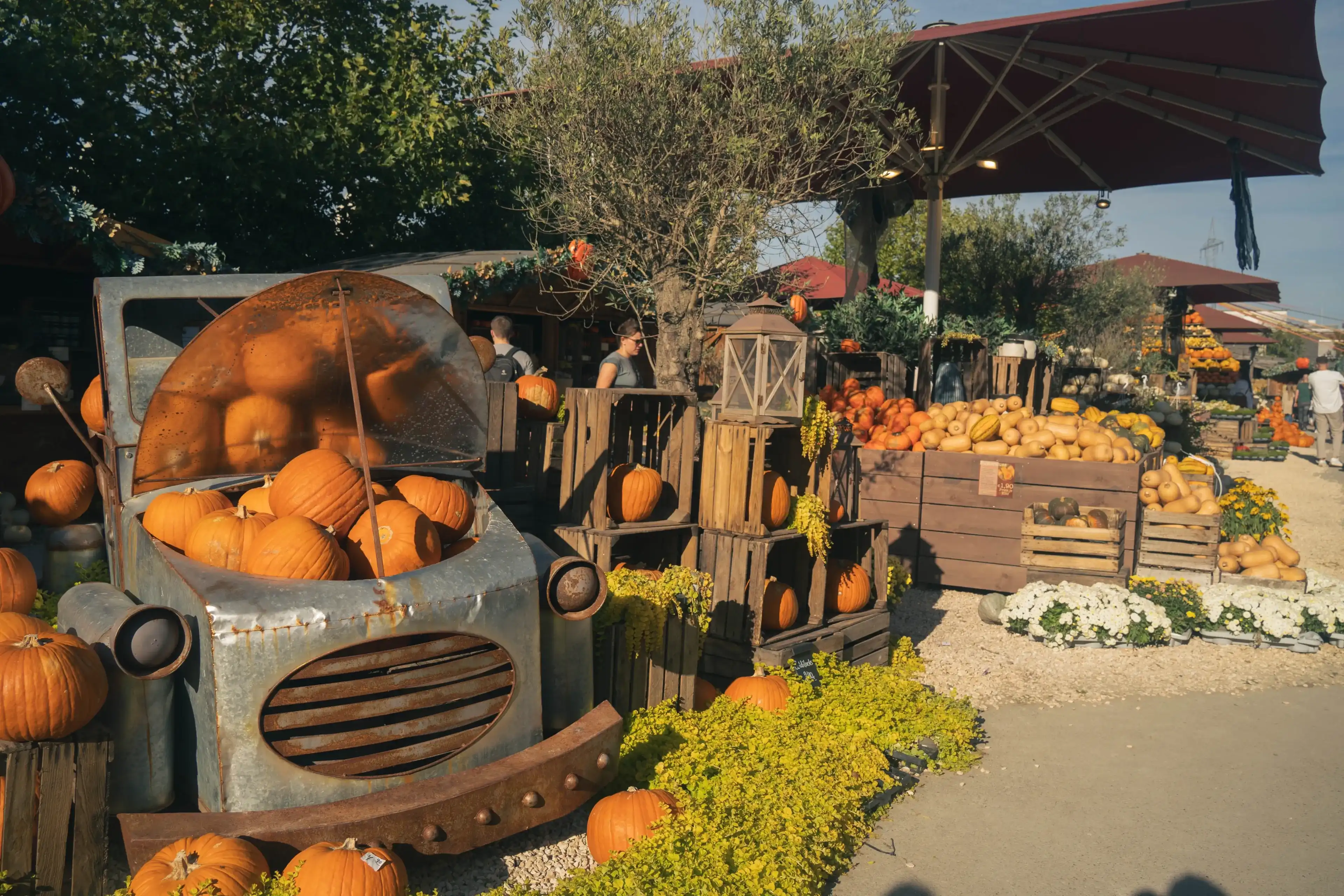 Best Hürth hotels. Cheap hotels in Hürth, Germany Best Hürth hotels. Cheap hotels in Hürth, Germany