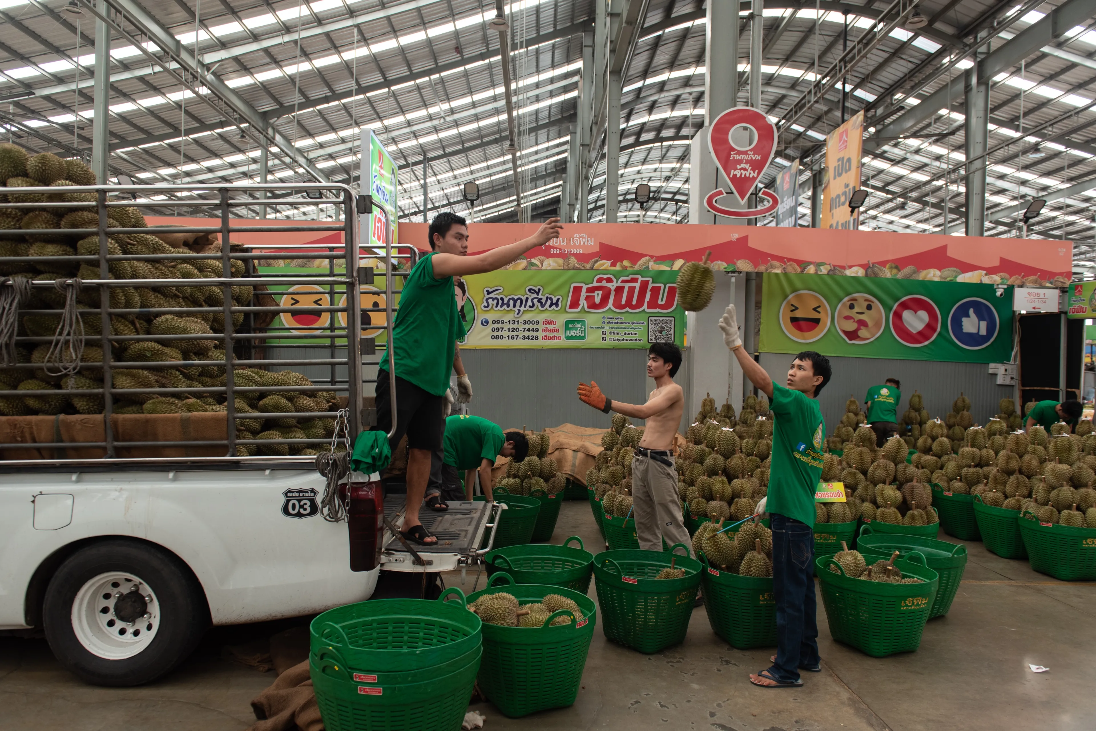 Pathum Thani, Thailand May 26, 2024 - Government, private sector and farmers bring durian from all over the country. To be sold at Durian EXPO 2024 at Si Mum Mueang Market on the outskirts of Bangkok.