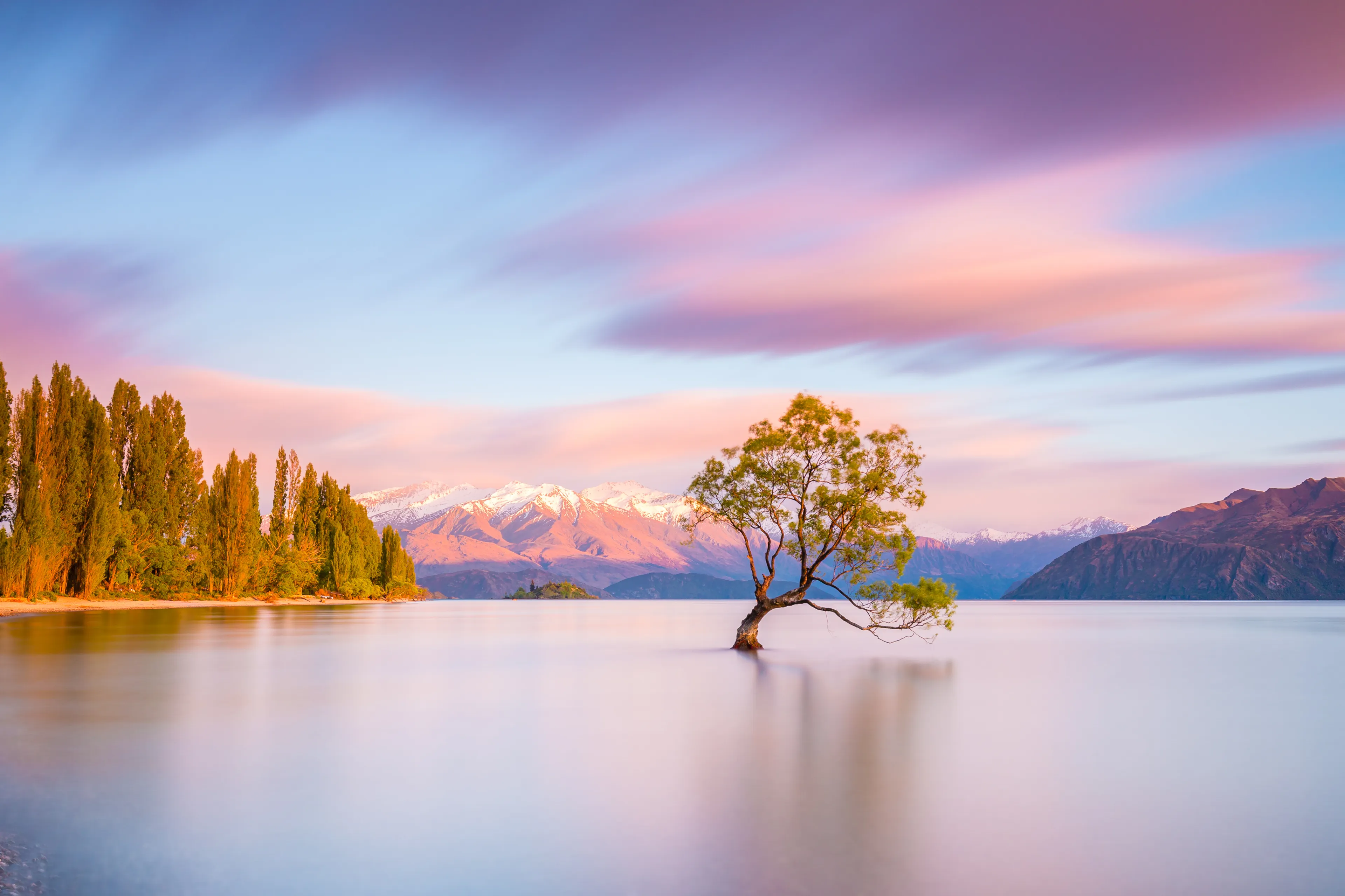 That Wanaka Tree at sunrise | Wanaka, NEW ZEALAND