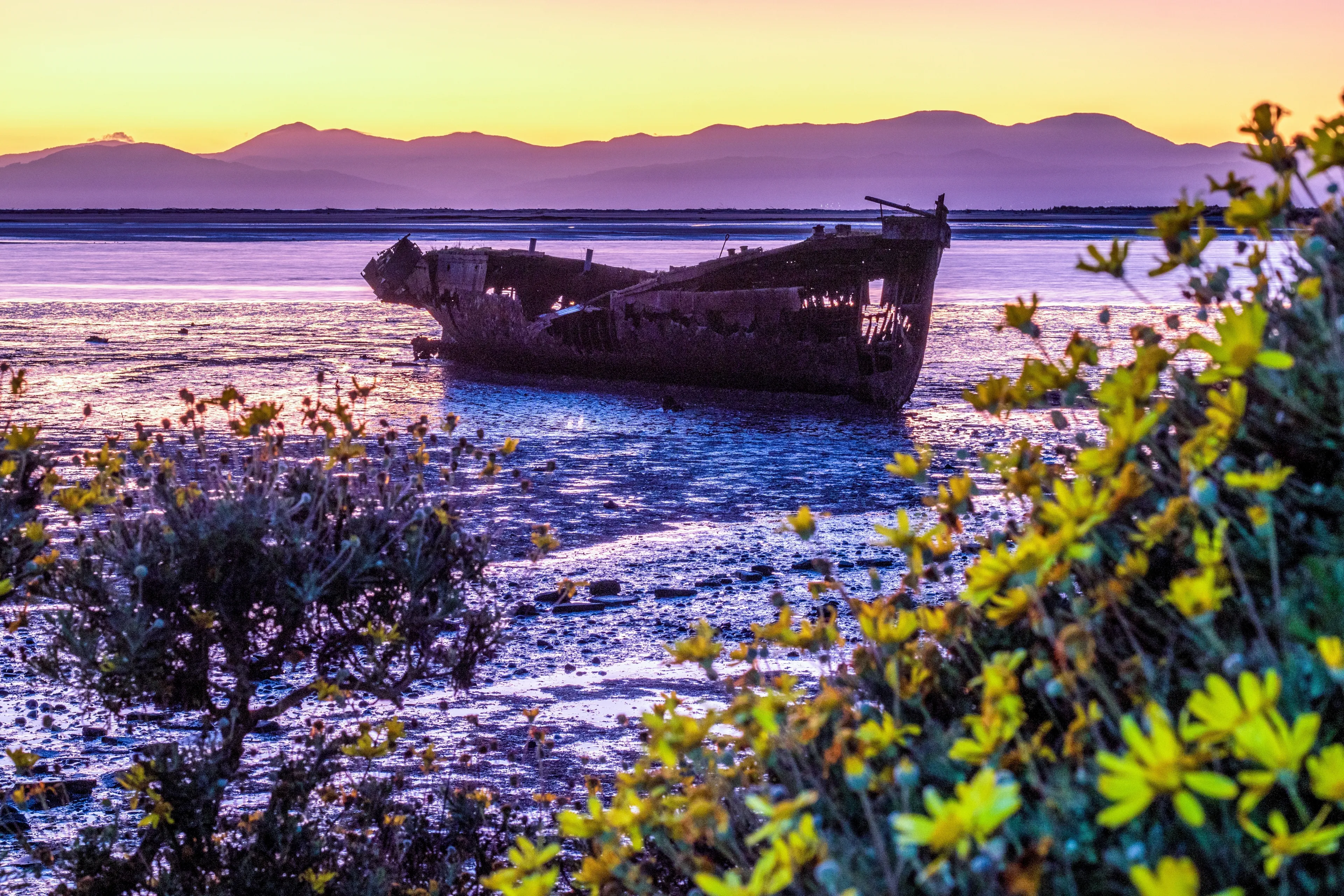 Shooting sunrise of Janie Seddon Shipwreck in New Zealand