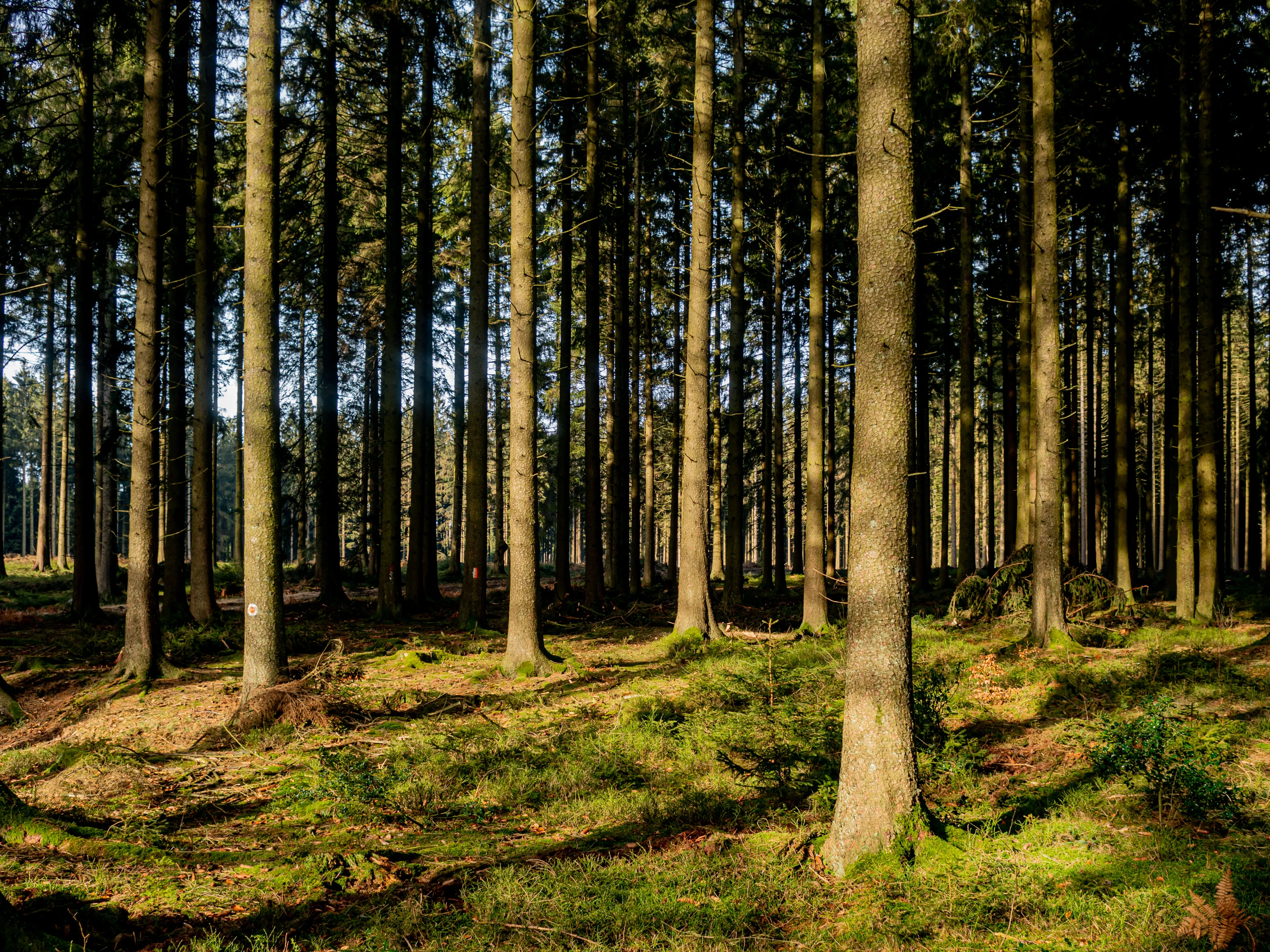 Best Stoumont hotels. Cheap hotels in Stoumont, Belgium