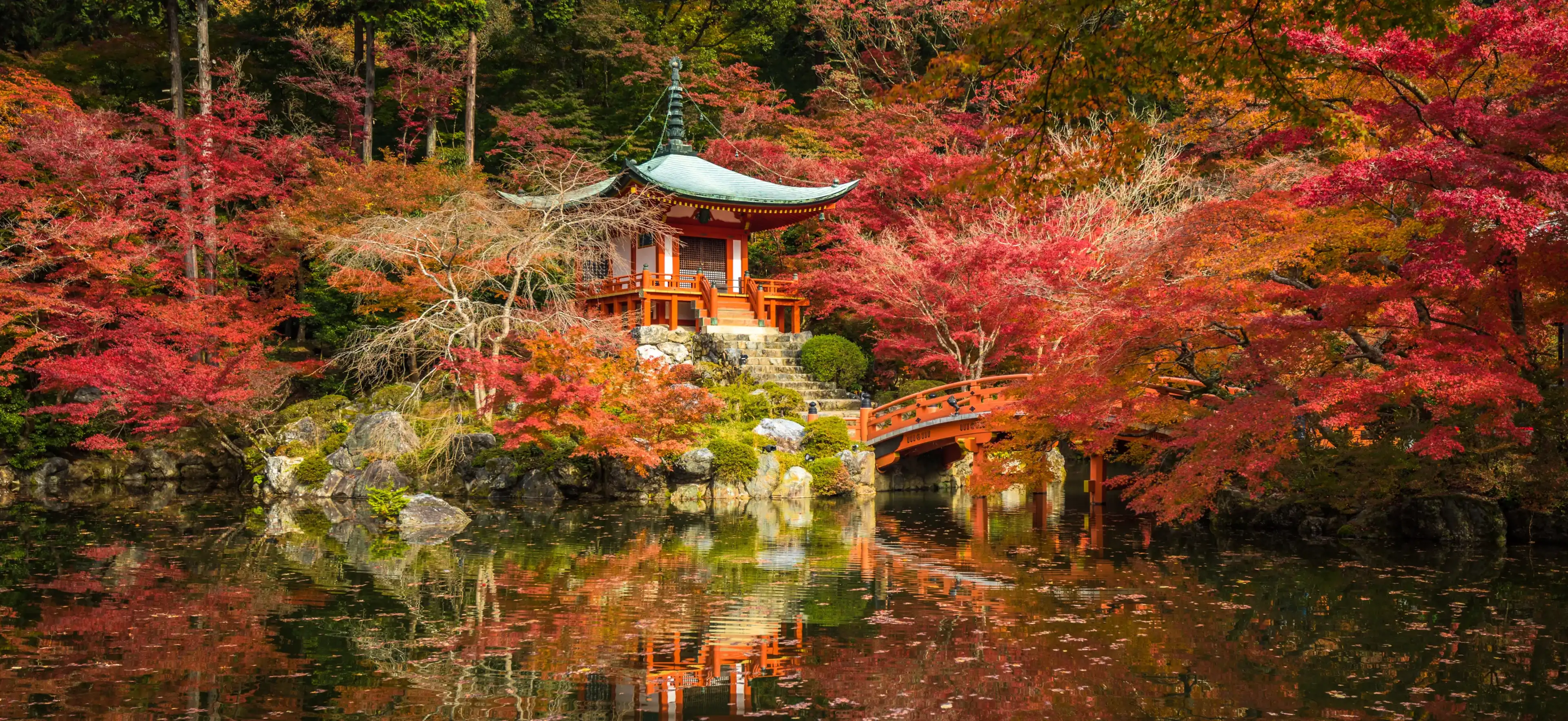Daigoji temple and autumn maple trees in momiji season, Kyoto, Japan Daigoji temple and autumn maple trees in momiji season, Kyoto, Japan