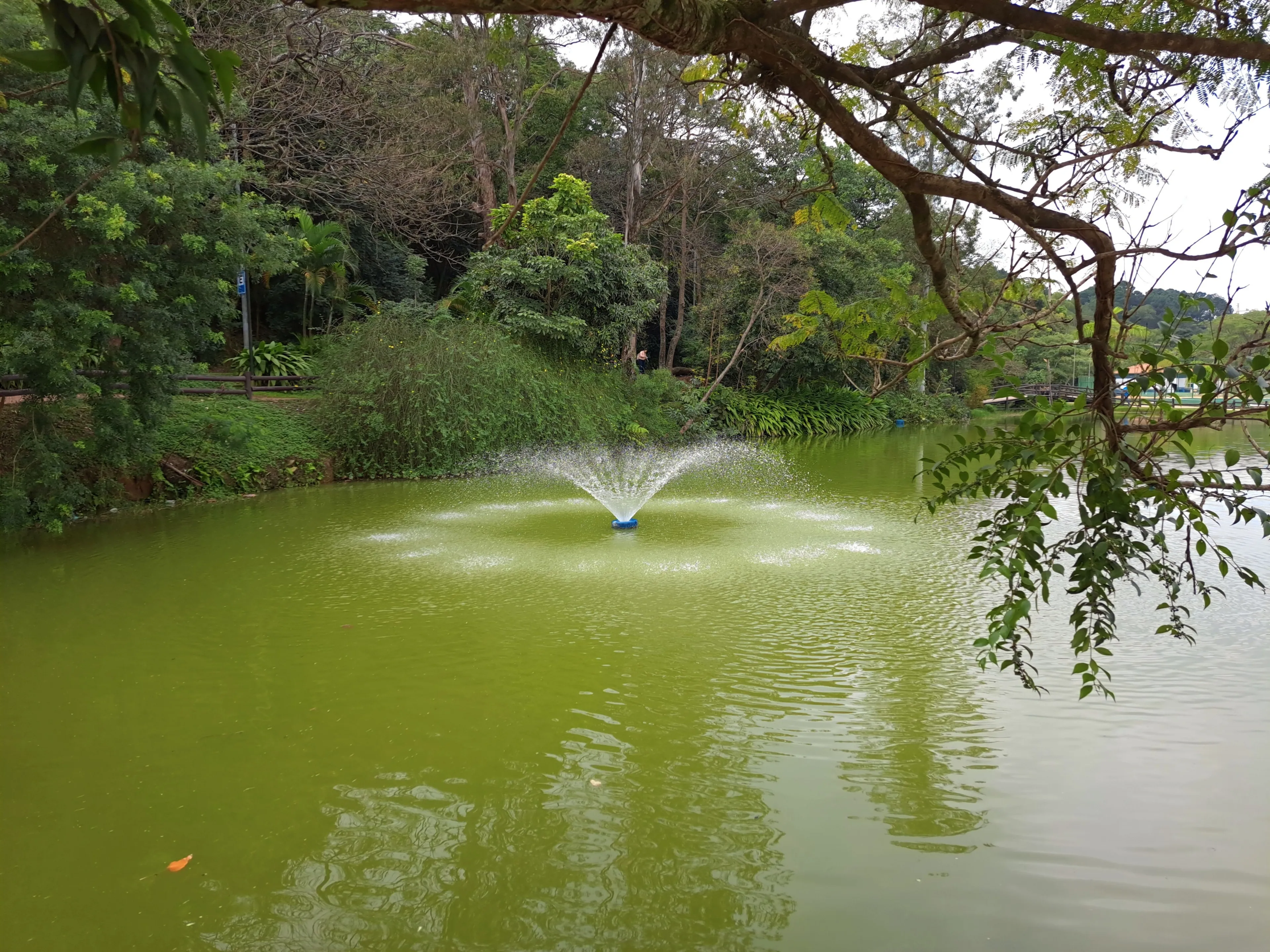 Best Guarulhos hotels. Cheap hotels in Guarulhos, Brazil