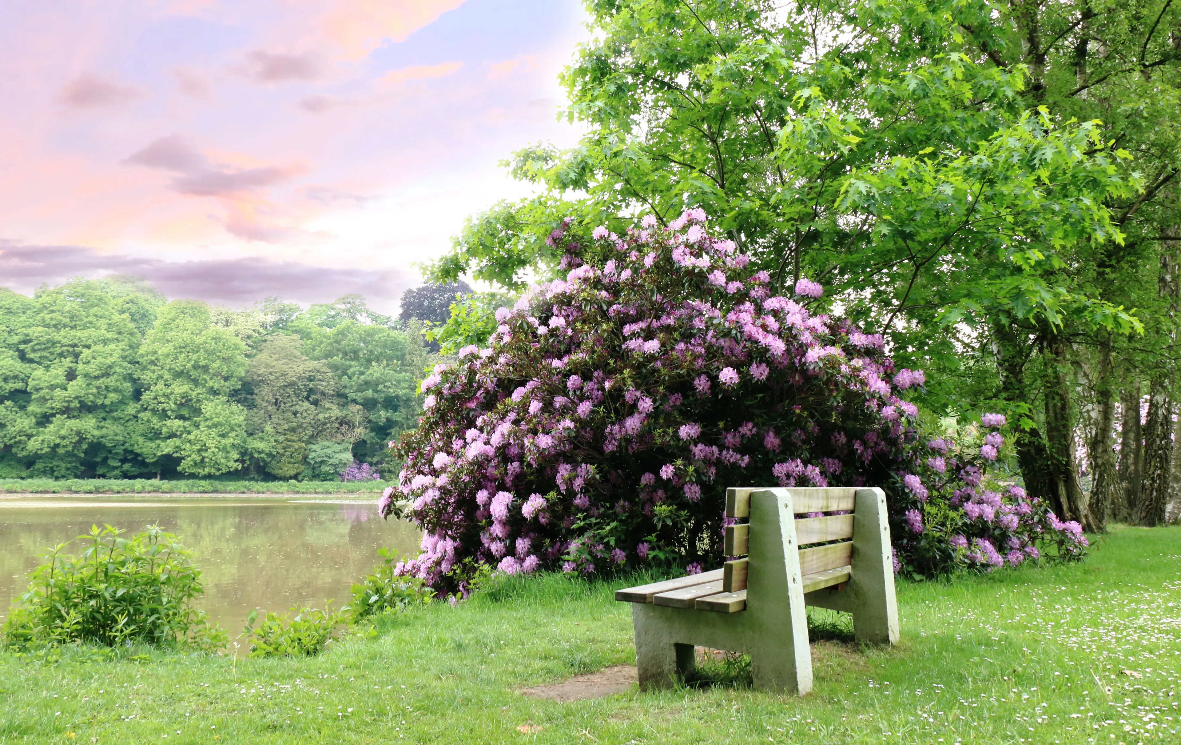 spring in Park de Mik, Brasschaat, Belgium