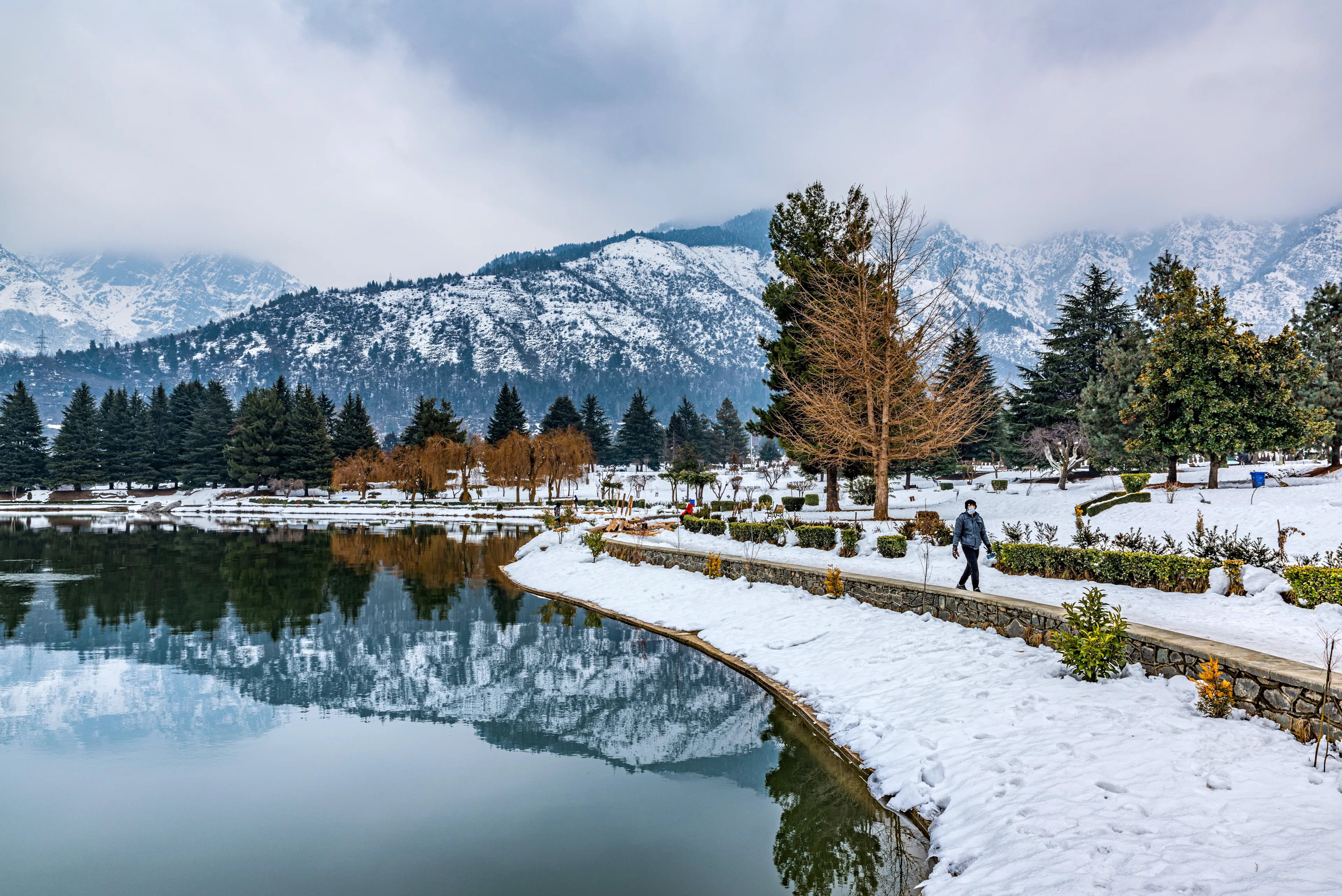Srinagar, Kashmir, India - January 28, 2021 : A view of botanical garden with lake in winter season, and the beautiful mountain range in the background in the city of Srinagar, Kashmir, India
