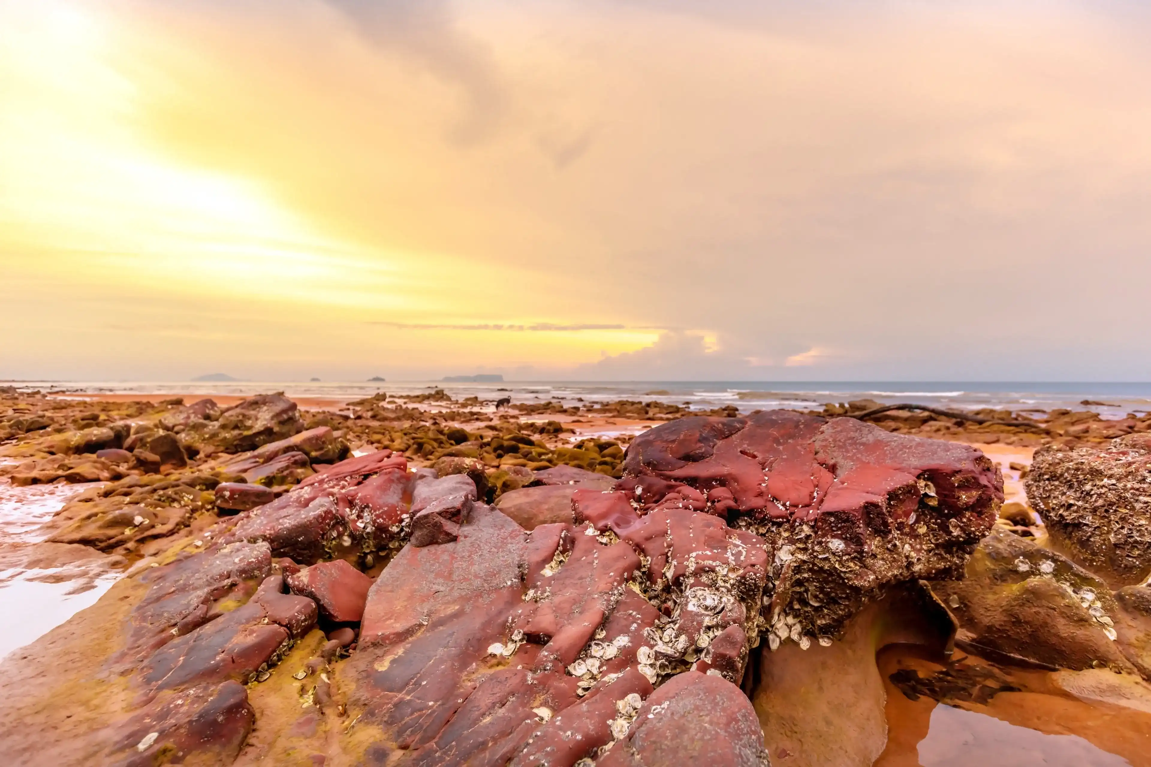 A rocky beach in the area Red cliffs beach or Pha Daeng Beach at Bang Saphan Noi District in Prachuap Khiri Khan Province, Southern Thailand A rocky beach in the area Red cliffs beach or Pha Daeng Beach at Bang Saphan Noi District in Prachuap Khiri Khan Province, Southern Thailand