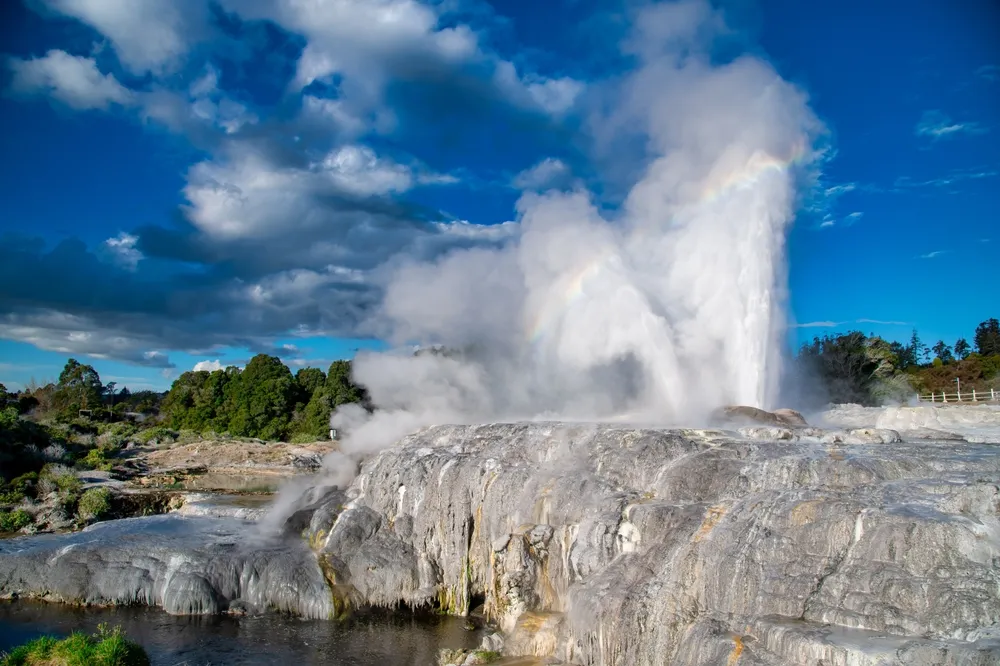 Erupting geysers of Te Puia in Rotorua, New Zealand