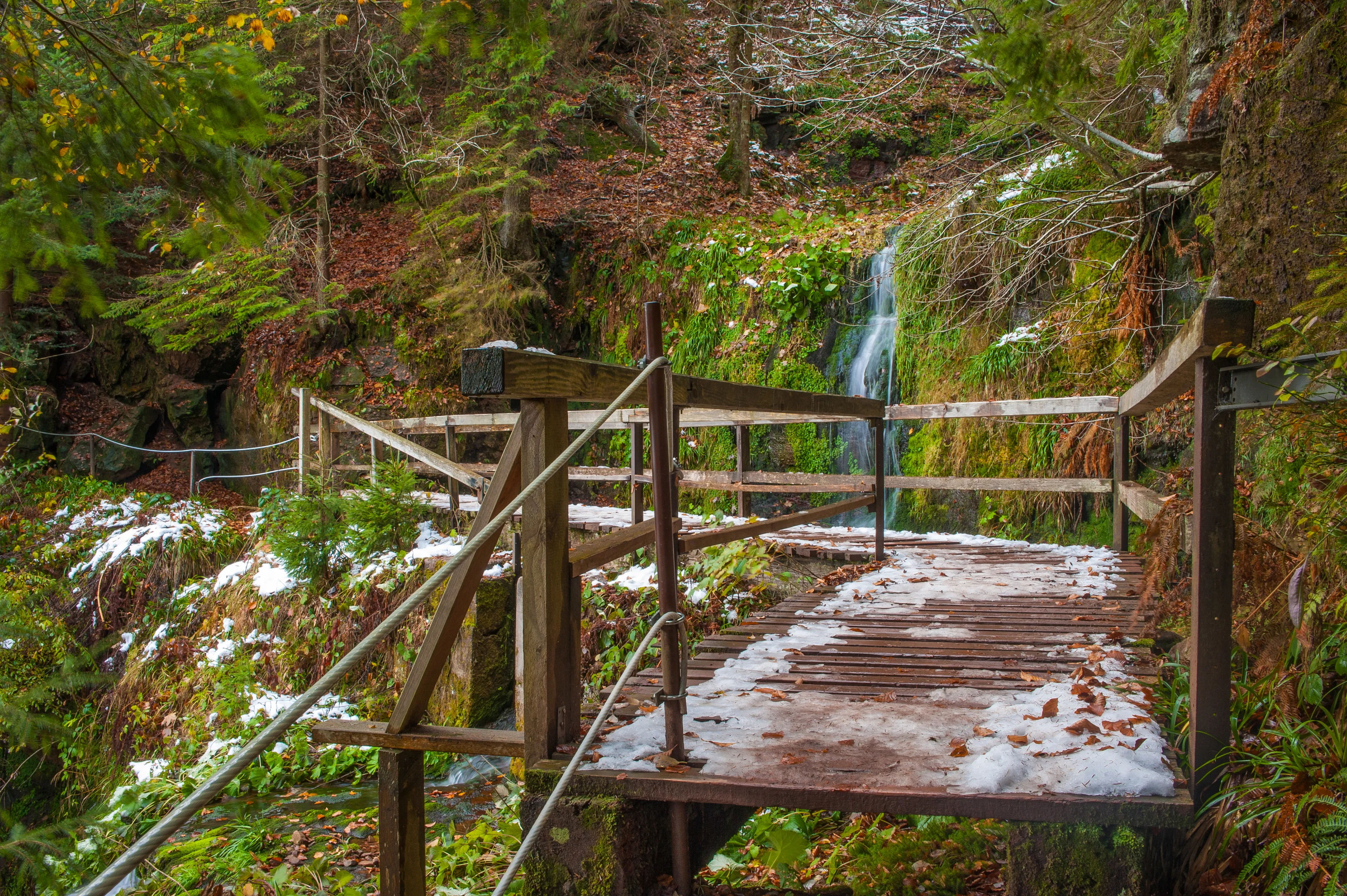 Best Baiersbronn hotels. Cheap hotels in Baiersbronn, Germany