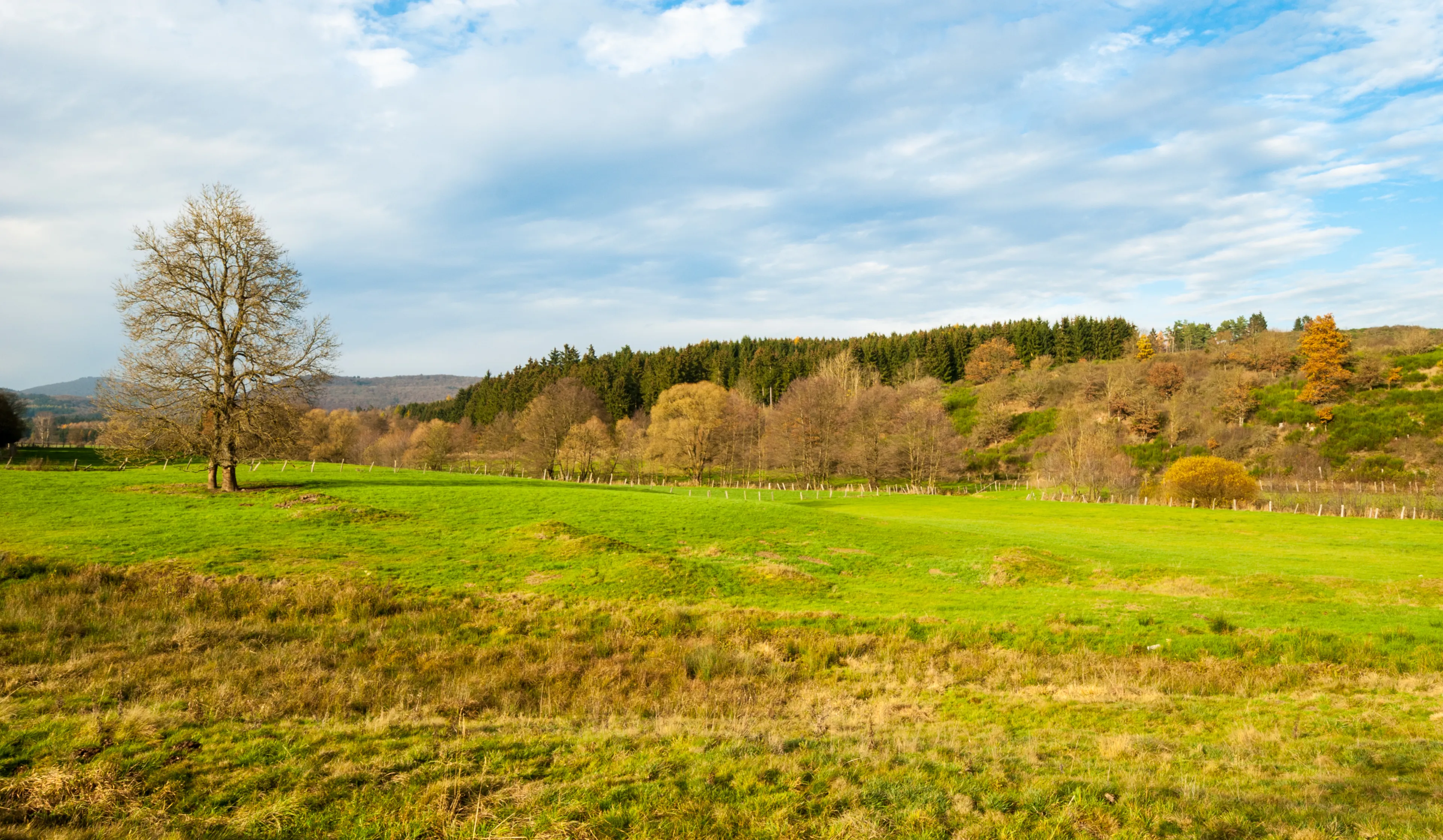 Best Medebach hotels. Cheap hotels in Medebach, Germany