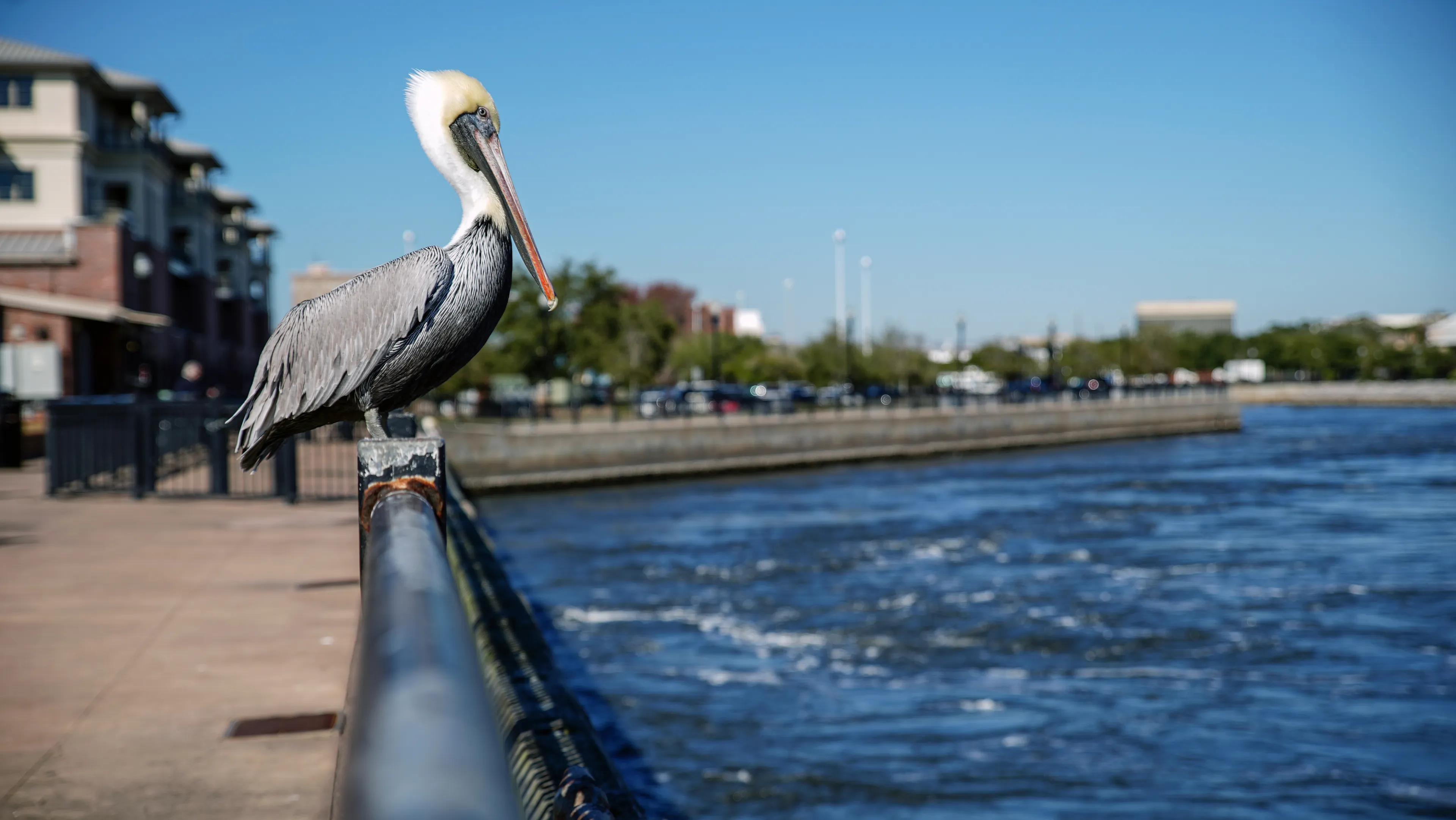 Best Pensacola hotels. Cheap hotels in Pensacola, Florida, United States