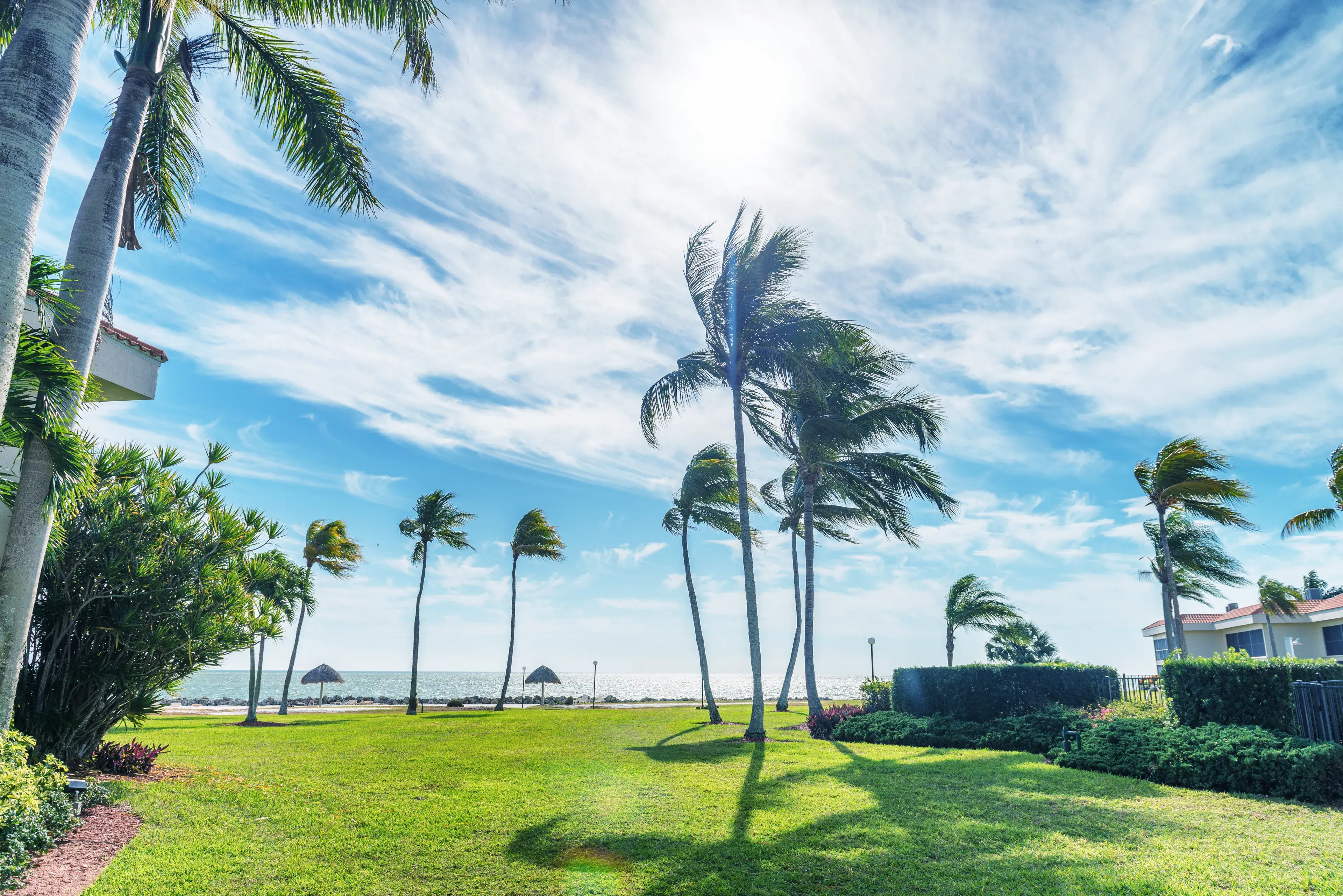 Caribbean landscape with palms and trees. Caribbean landscape with palms and trees.
