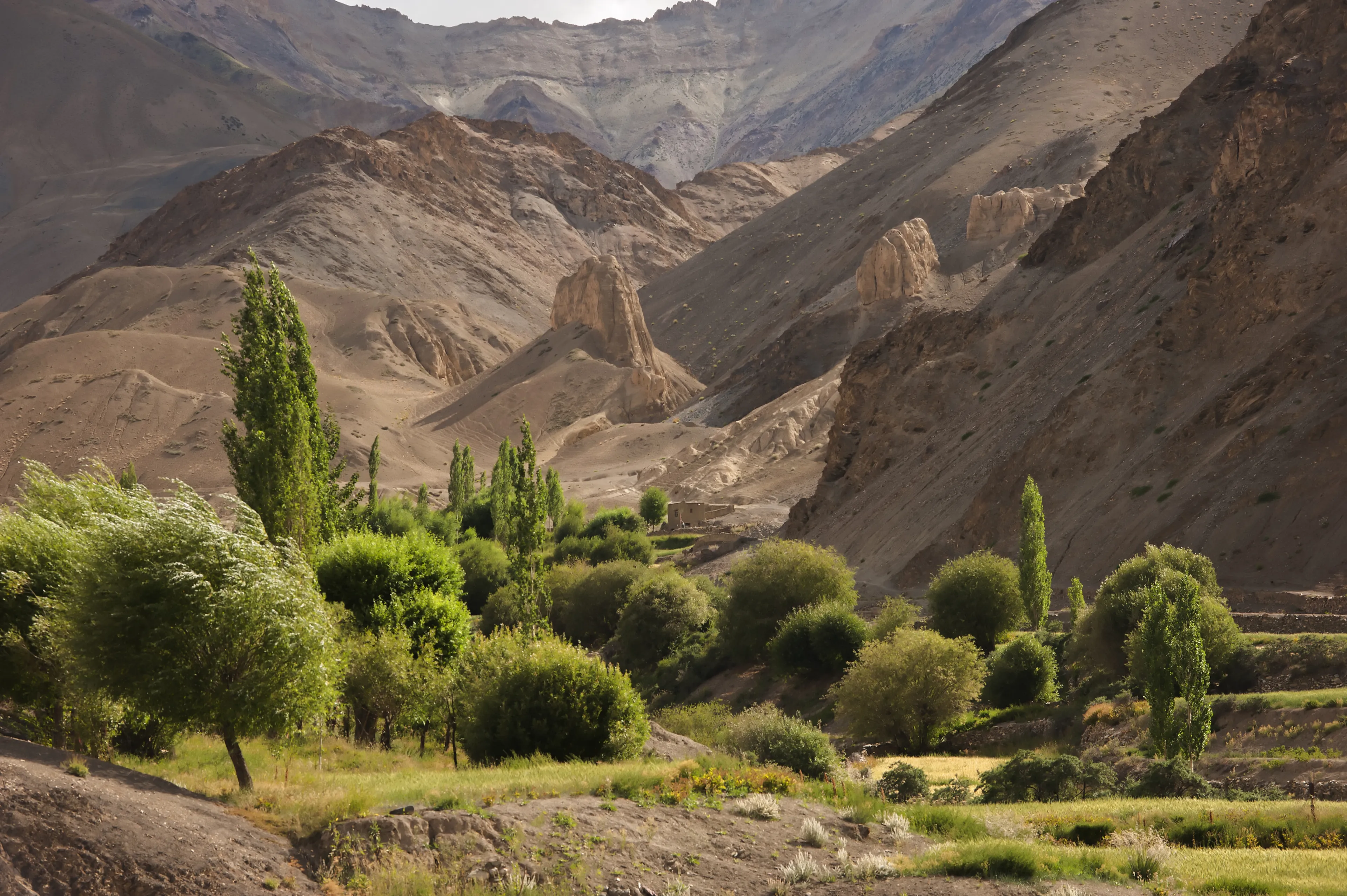 Best Manāli hotels. Cheap hotels in Manāli, India