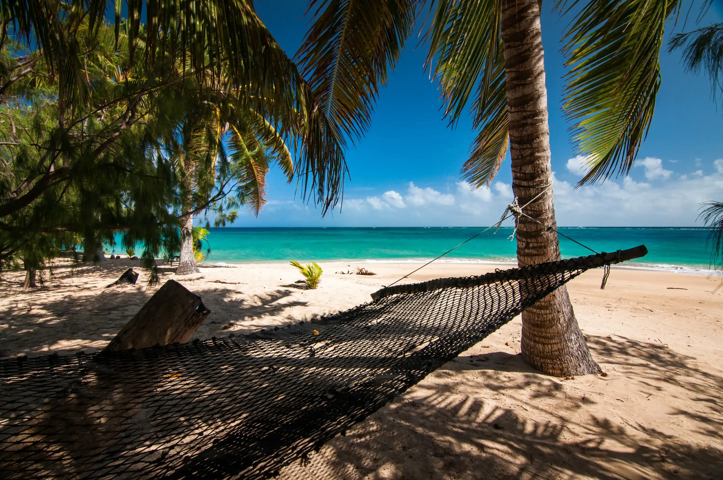 Hammock on Tropical beach paradise on Uoleva island, Kingdom of Tonga in South Pacific Hammock on Tropical beach paradise on Uoleva island, Kingdom of Tonga in South Pacific