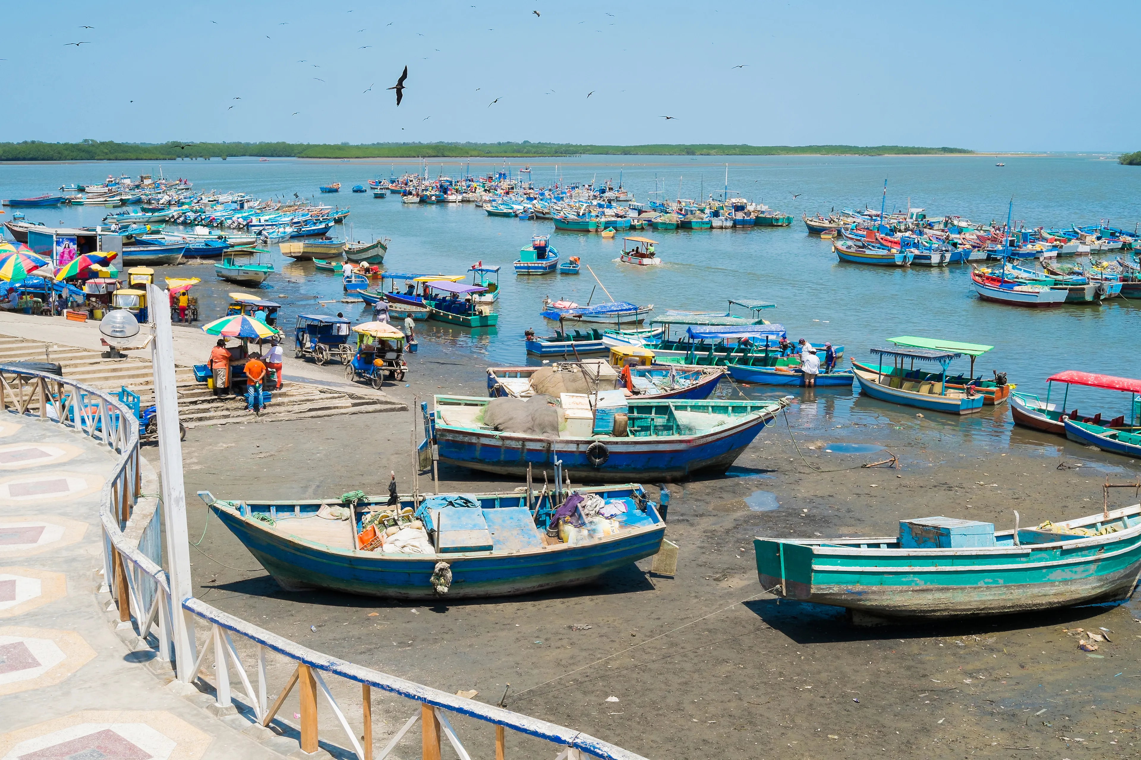 Fishing harbour of Puerto Pizarro, Tumbes, Peru