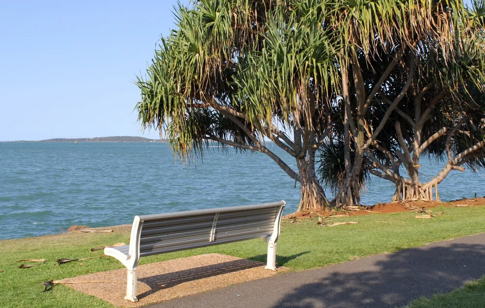 Bench seat under a pandanus tree overlooking the ocean at Spinnaker Park in Gladstone, Queensland, Australia