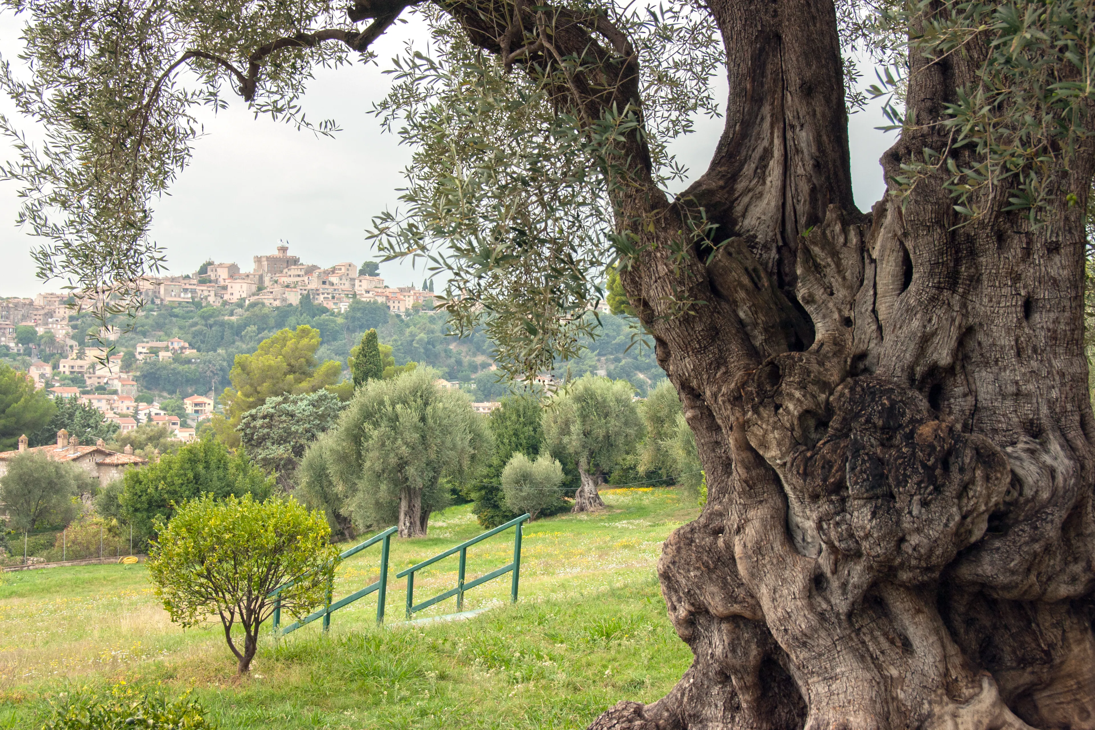 Best Cagnes-sur-Mer hotels. Cheap hotels in Cagnes-sur-Mer, France