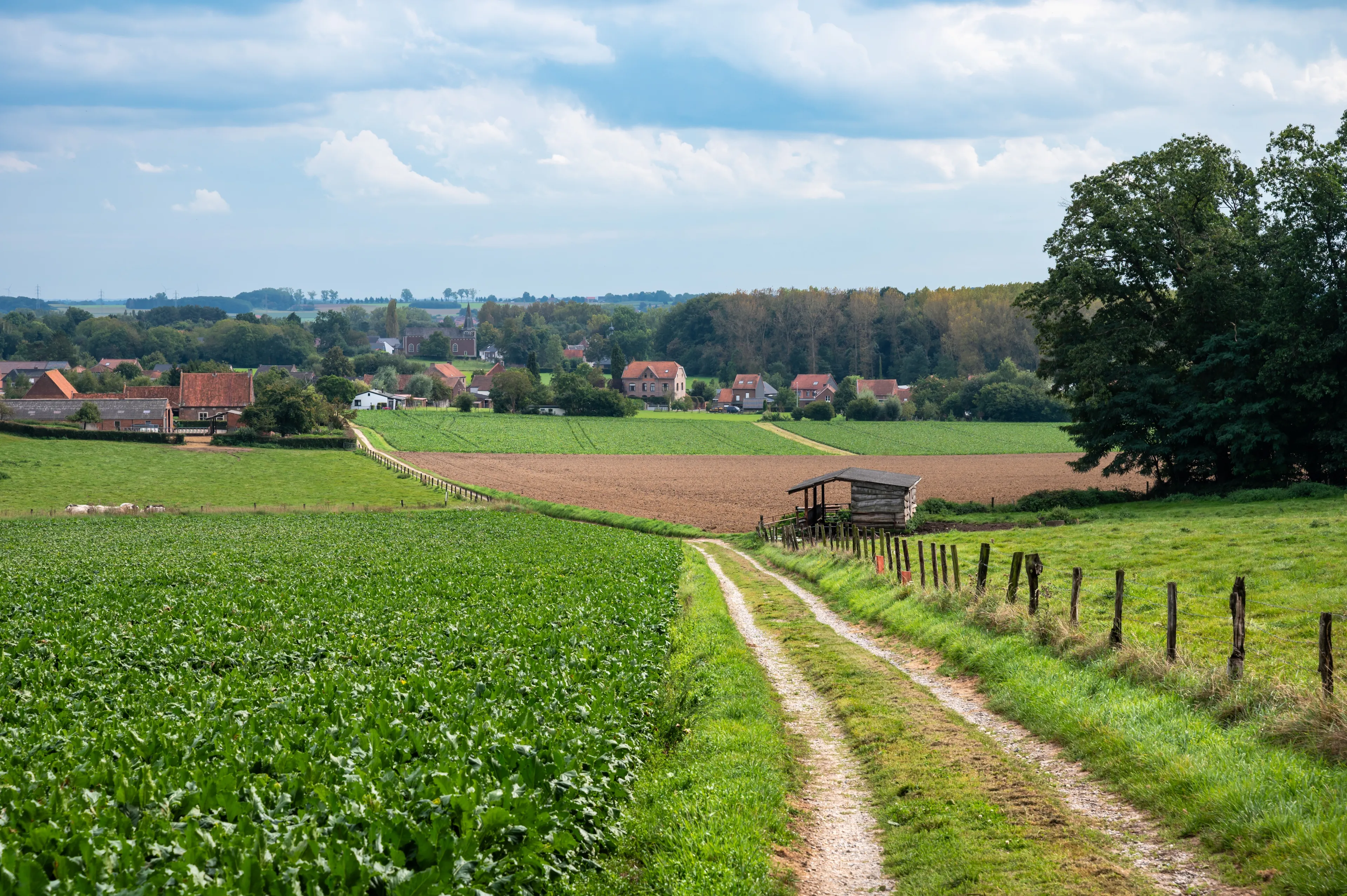 View over agriculture fields with the village in the background at the Flemish countryside around Boutersem, Flemish Brabant, Belgium