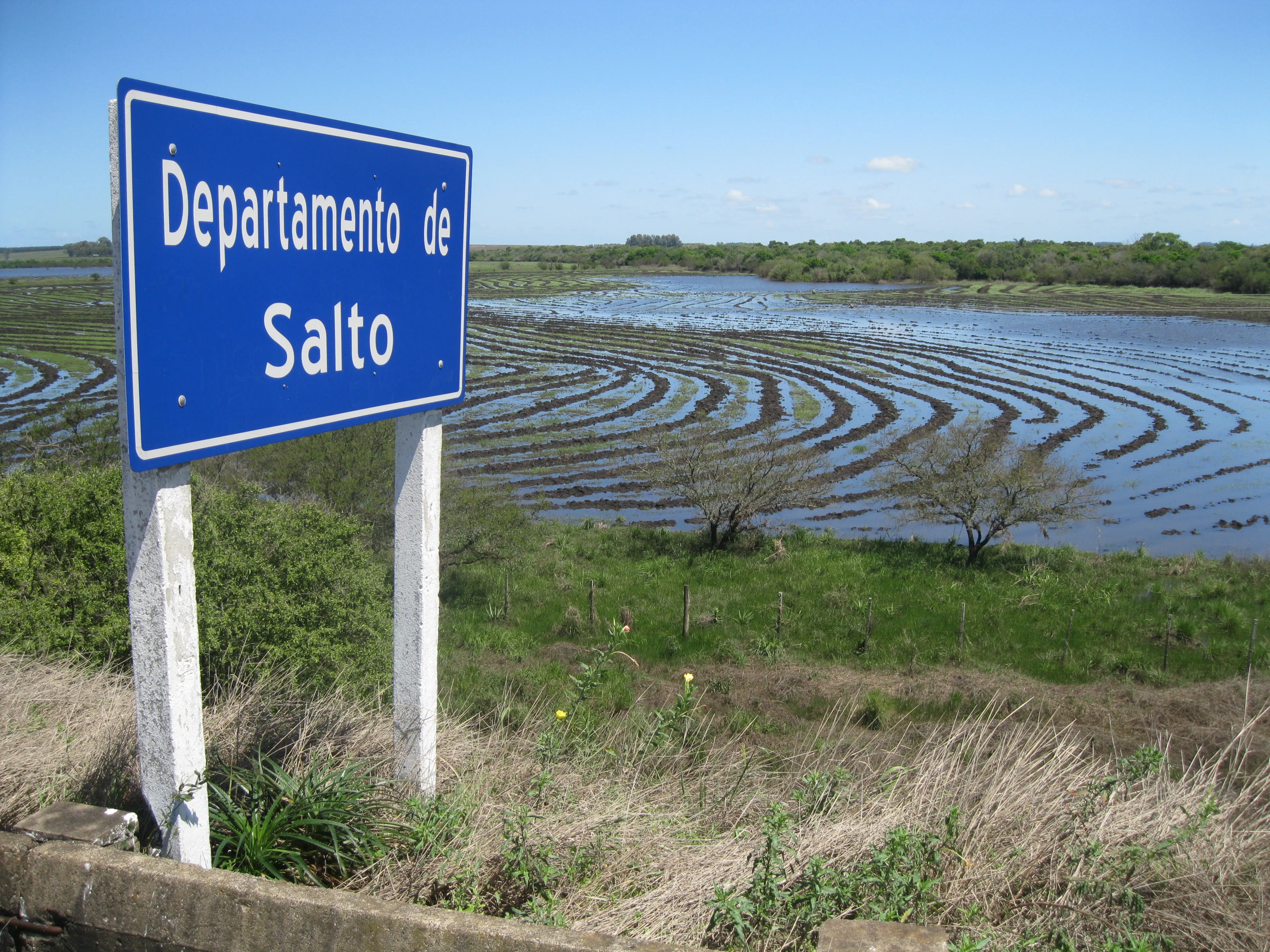 Salto State, Uruguay Sign, Translation: “Jump department” Paddy field. Lefties of water and earth, marked lines on the ground with a rice plantation. Illuminated by the sun and celestial sky. 
