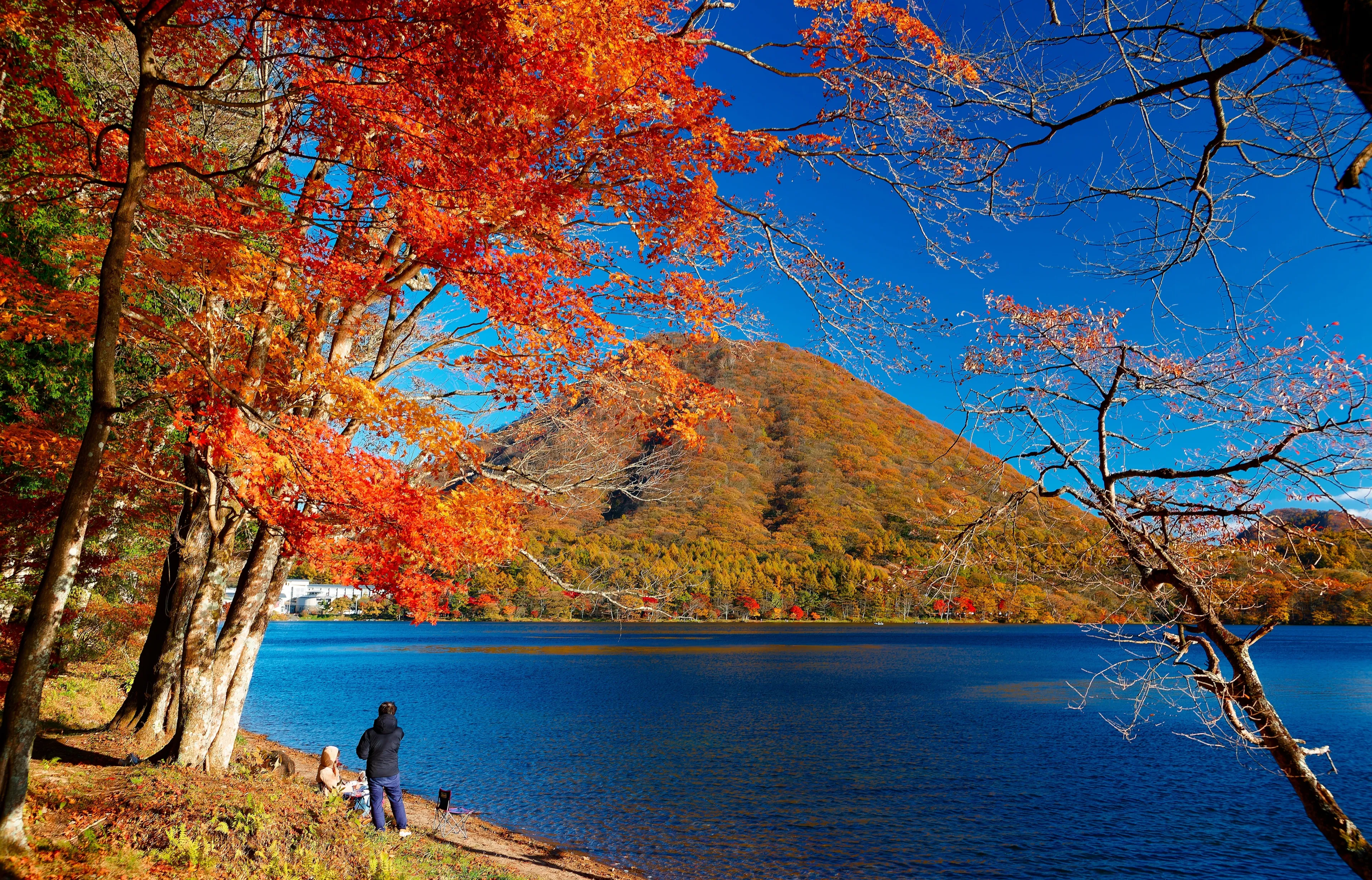 On the shore of Lake Haruna 榛名湖, tourists enjoy the view of beautiful fall colors and Mount Haruna-Fuji 榛名富士 under blue clear sky in background on a sunny autumn day, in Takasaki, Gunma, Japan