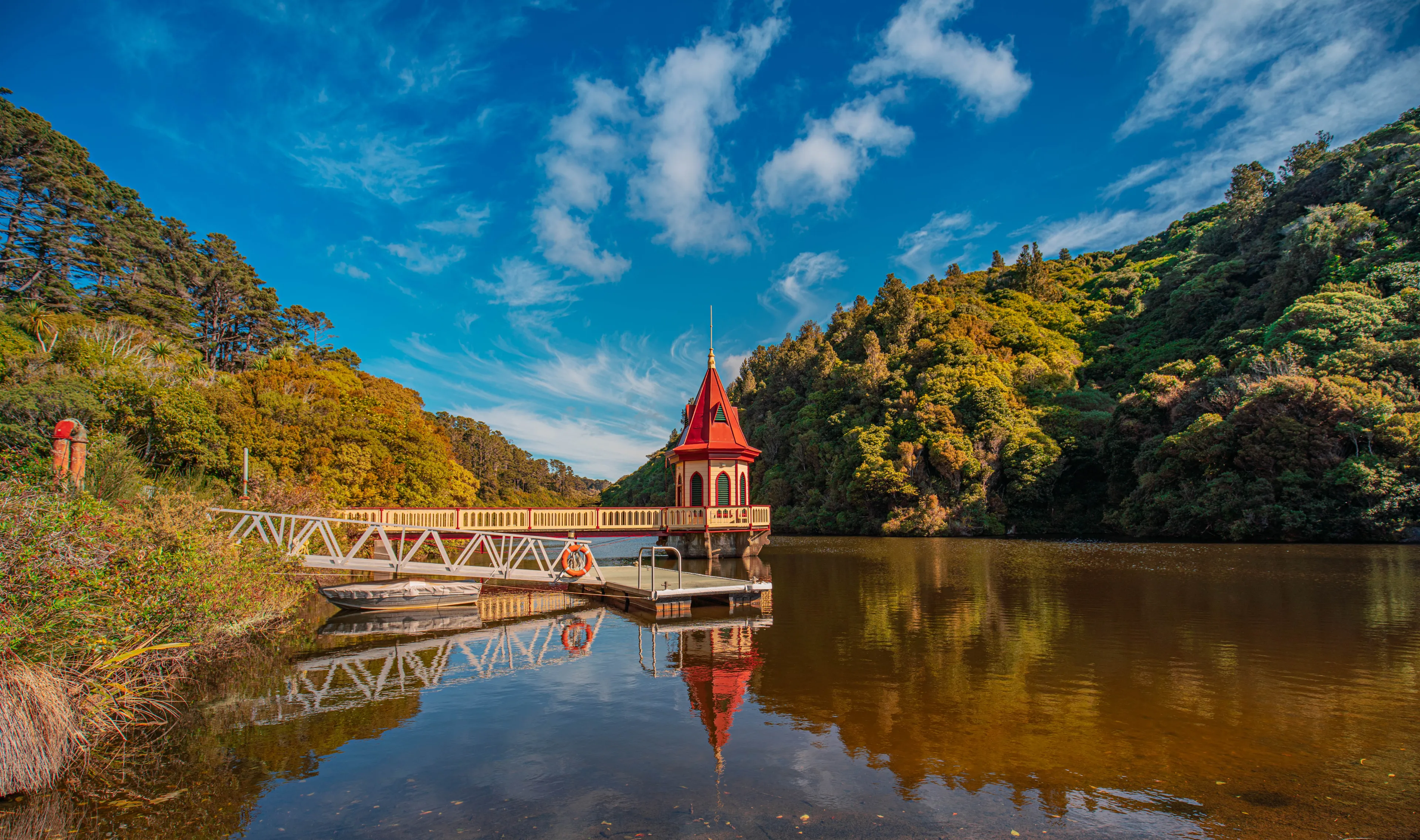 landscape of Zealandia, the world’s first fully-fenced urban ecosanctuary