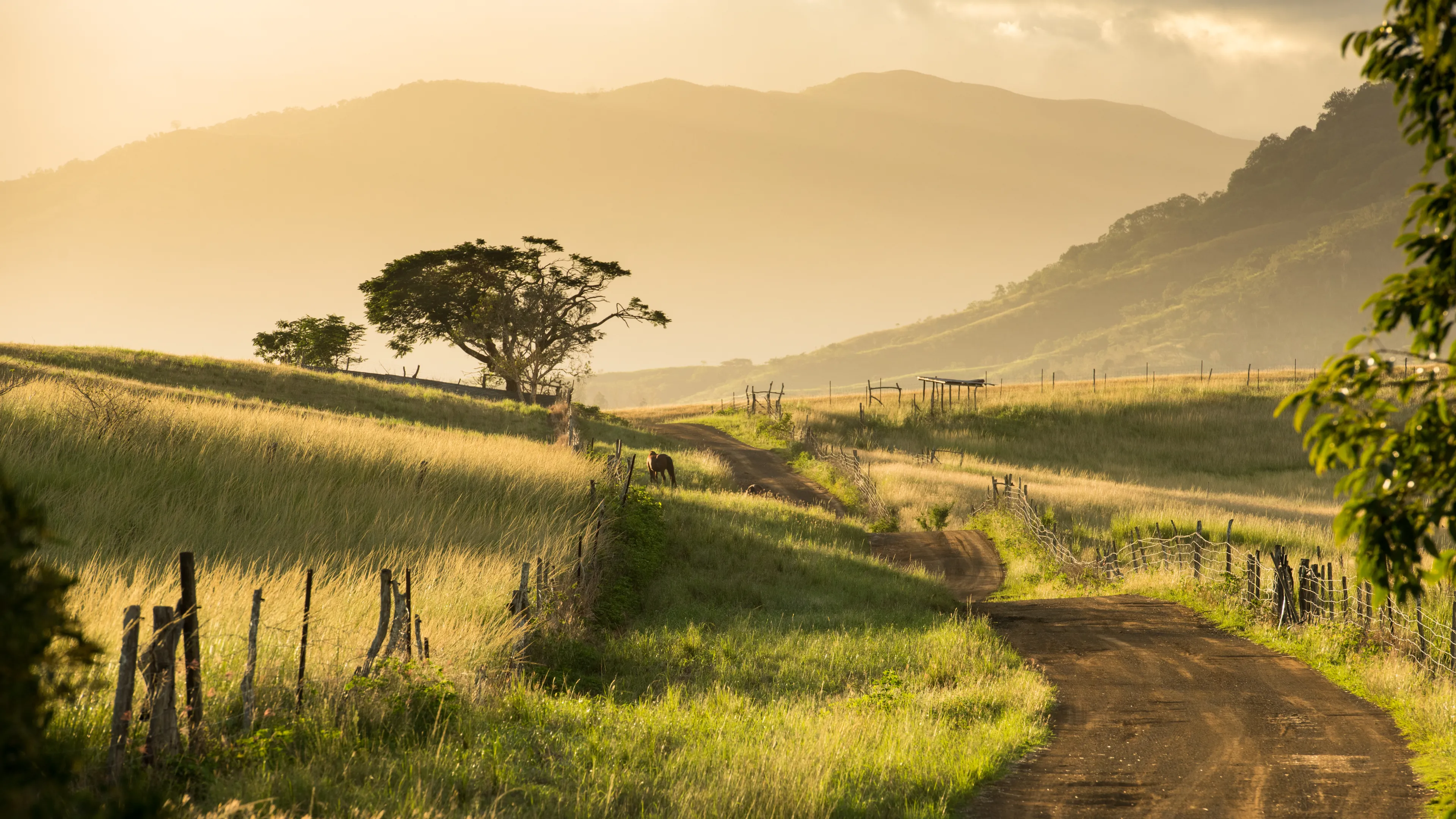 Beautiful countryside of New Caledonia
