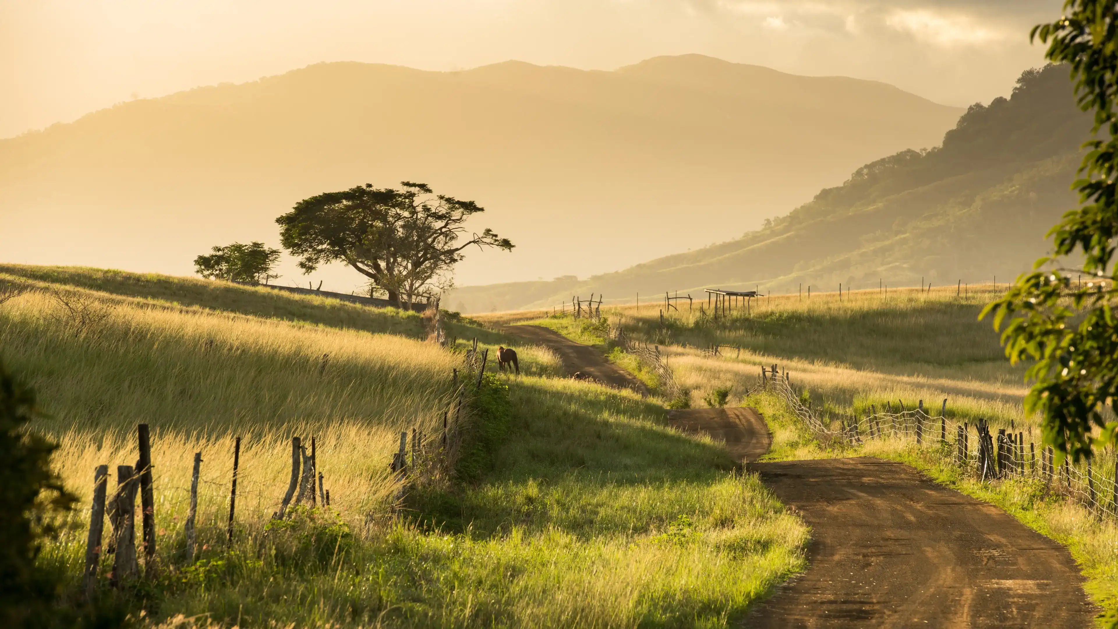 Beautiful countryside of New Caledonia Beautiful countryside of New Caledonia